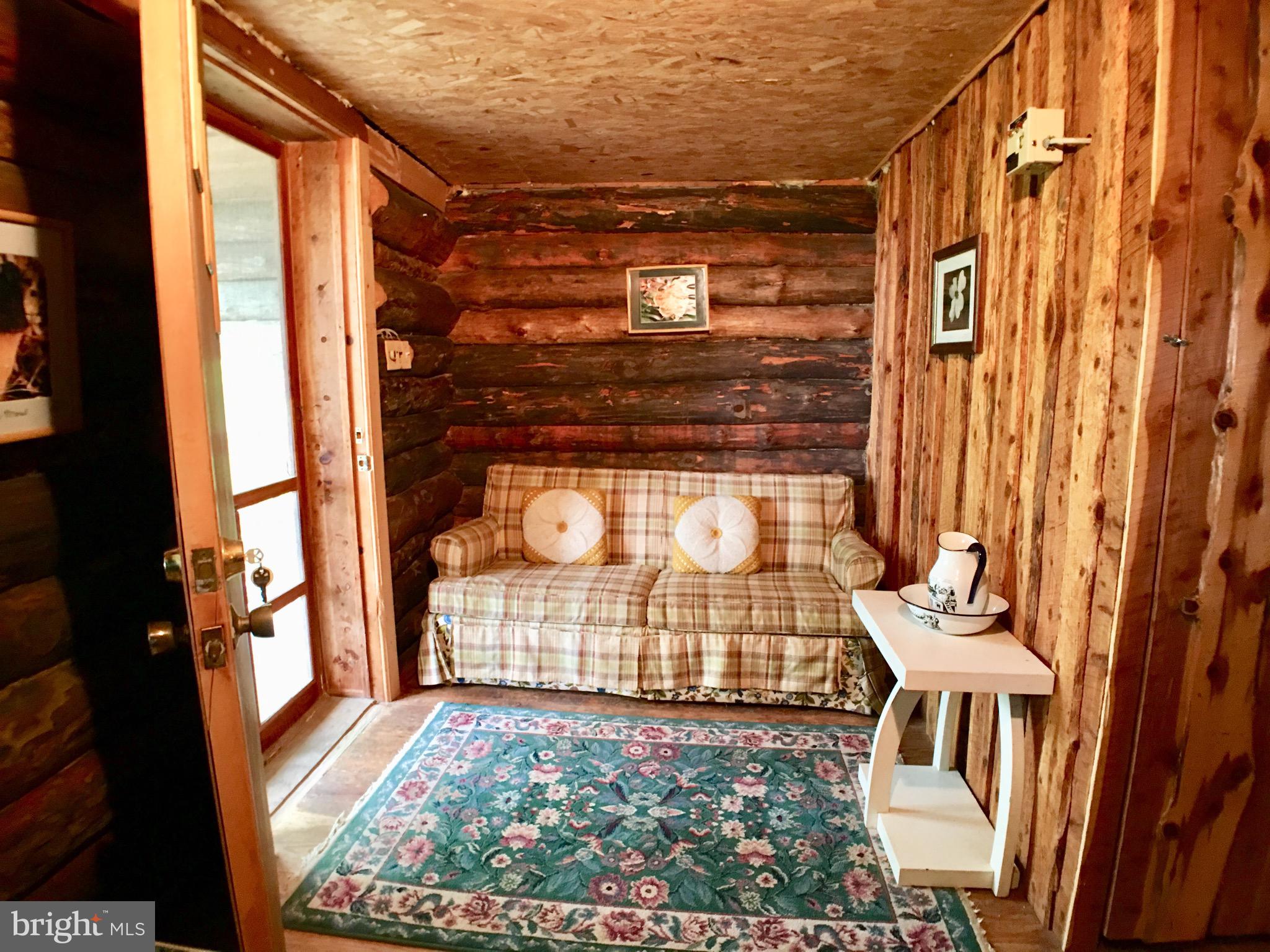 1515 Fort Valley Road Luray, VA 22835 - Photo 129 of 148 Secondary Cabin - Main Entrance