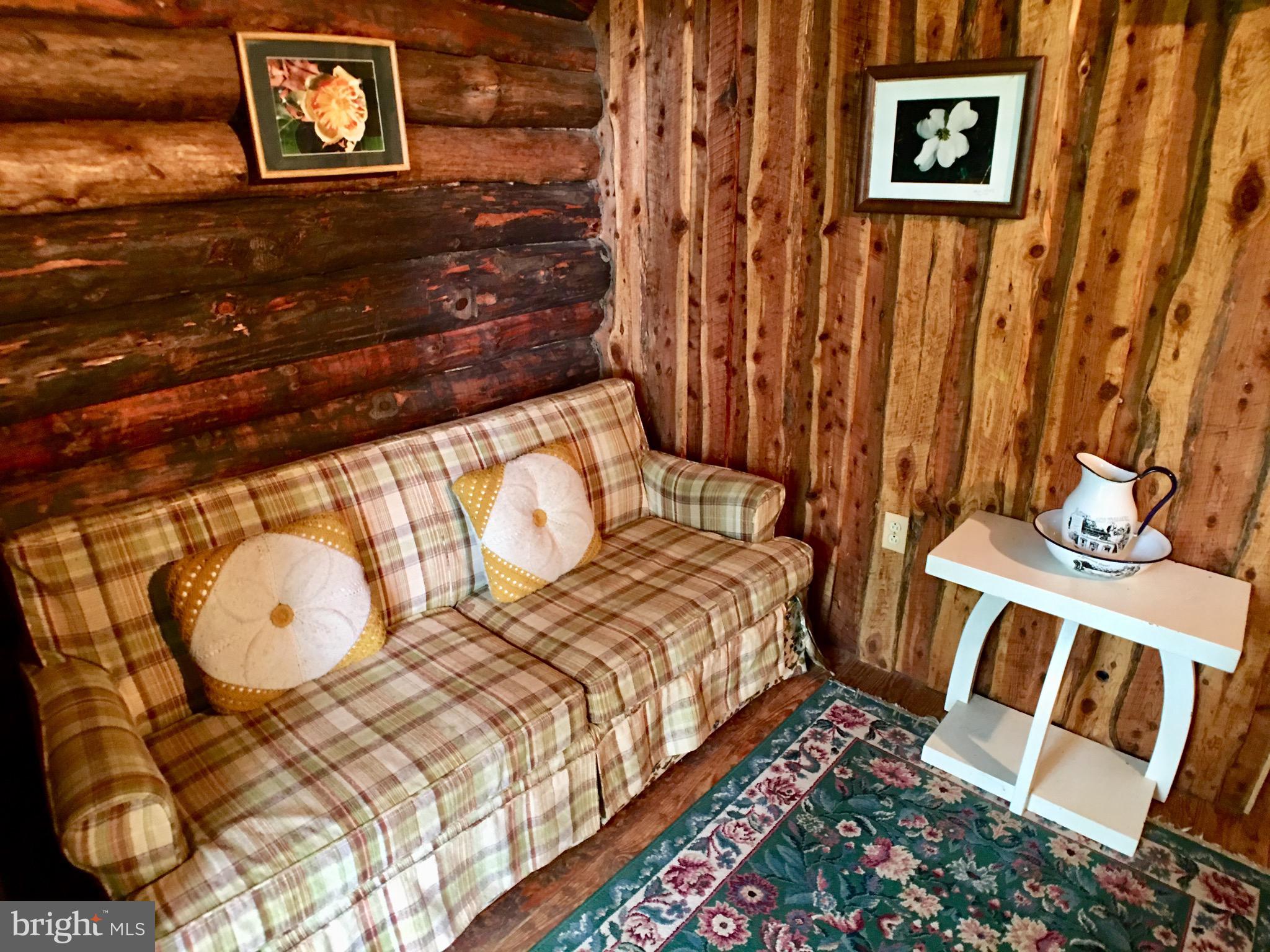1515 Fort Valley Road Luray, VA 22835 - Photo 130 of 148 Secondary Cabin - Main Entrance