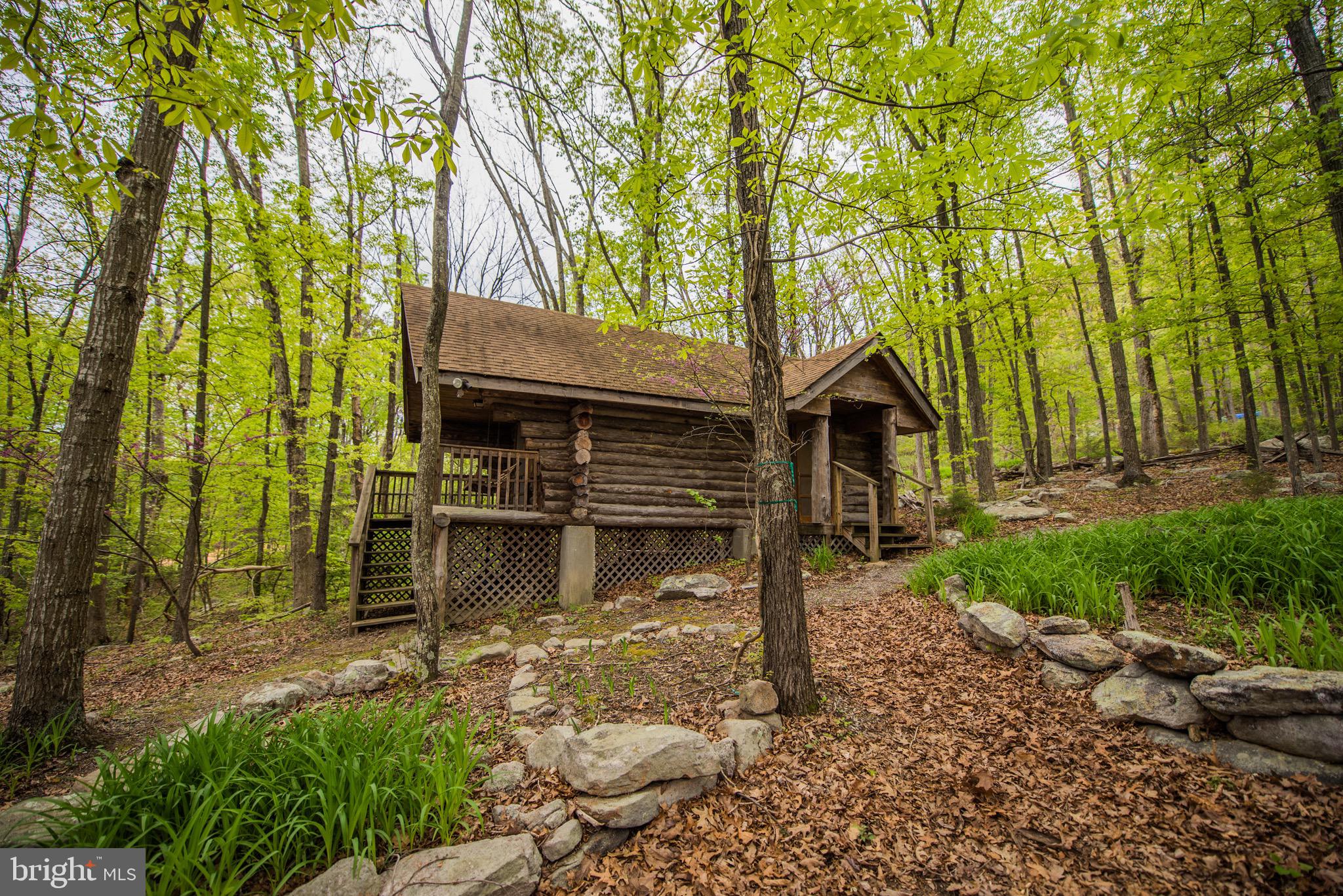 1515 Fort Valley Road Luray, VA 22835 - Photo 17 of 148 Side Exterior - Secondary Cabin