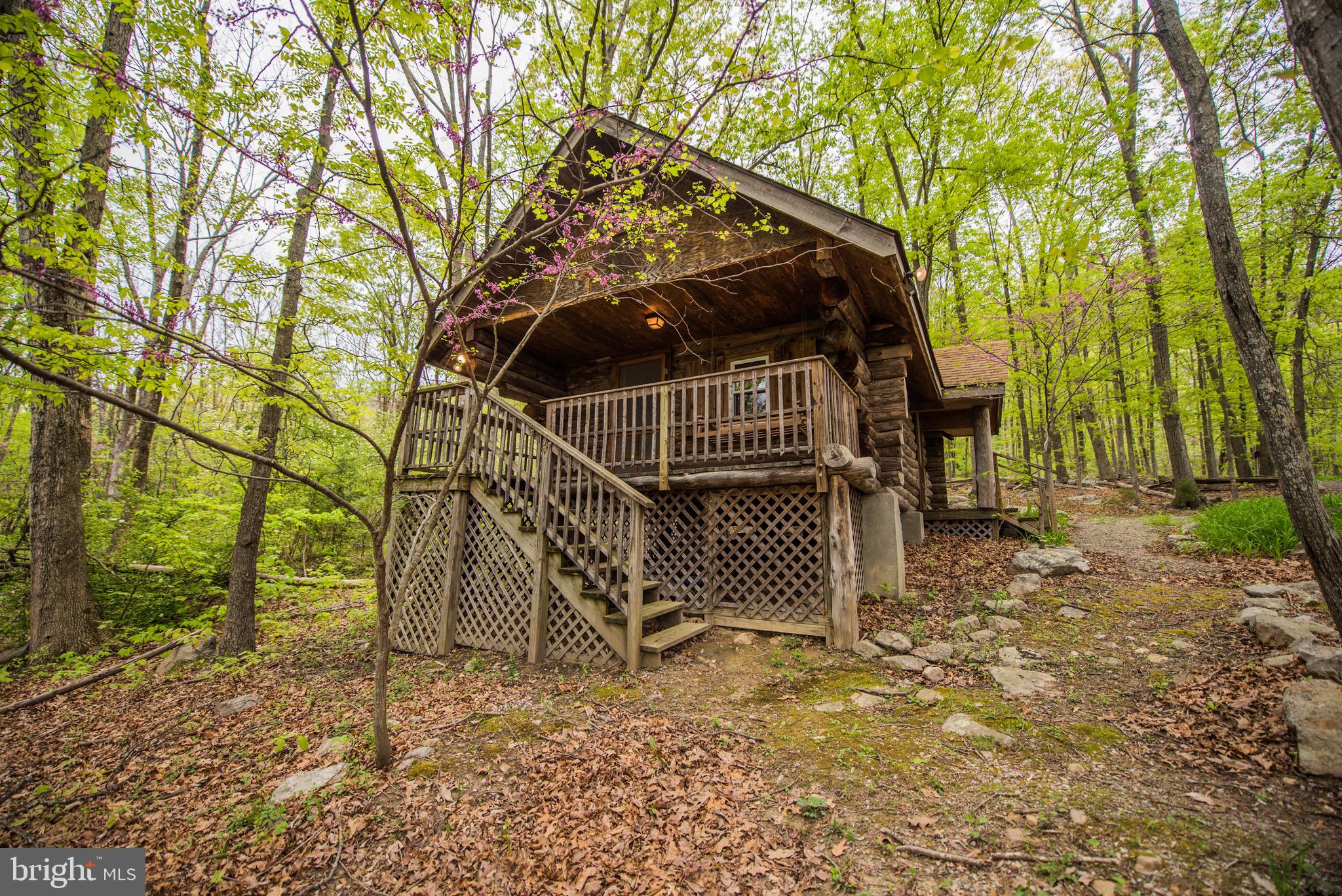 1515 Fort Valley Road Luray, VA 22835 - Photo 18 of 148 Rear Exterior - Secondary Cabin