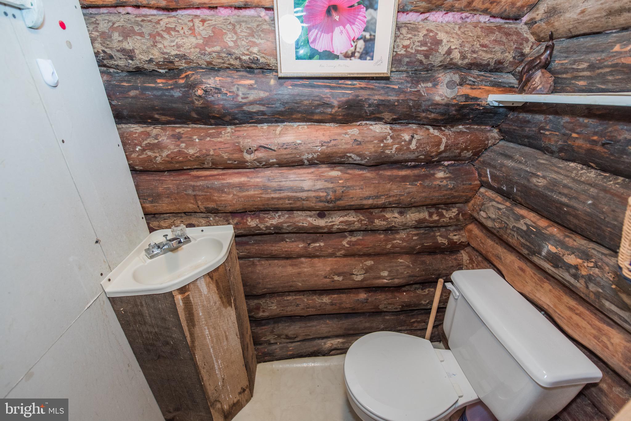 1515 Fort Valley Road Luray, VA 22835 - Photo 25 of 148 Secondary Cabin - Half Bathroom