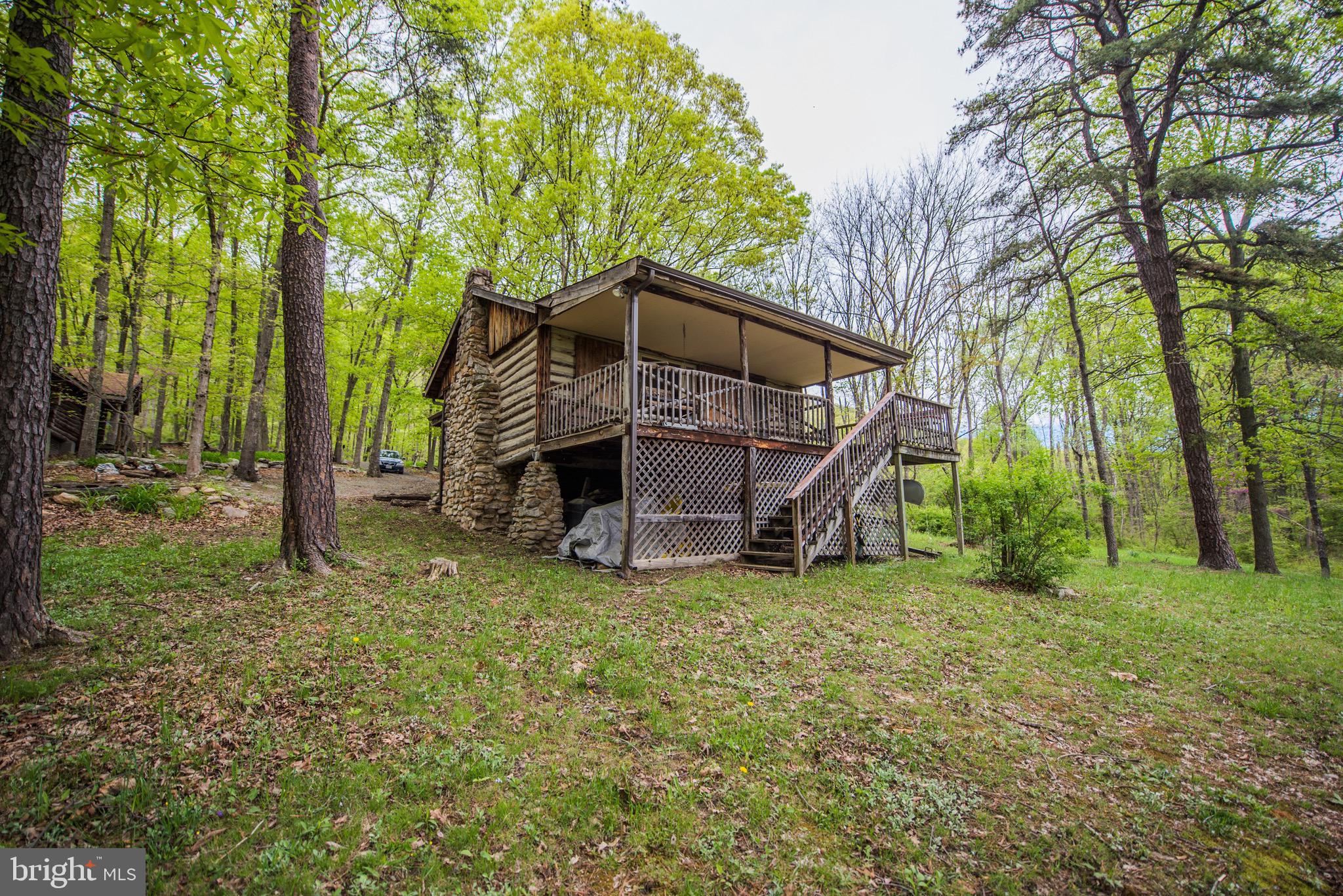 1515 Fort Valley Road Luray, VA 22835 - Photo 26 of 148 Rear Exterior - Main Cabin