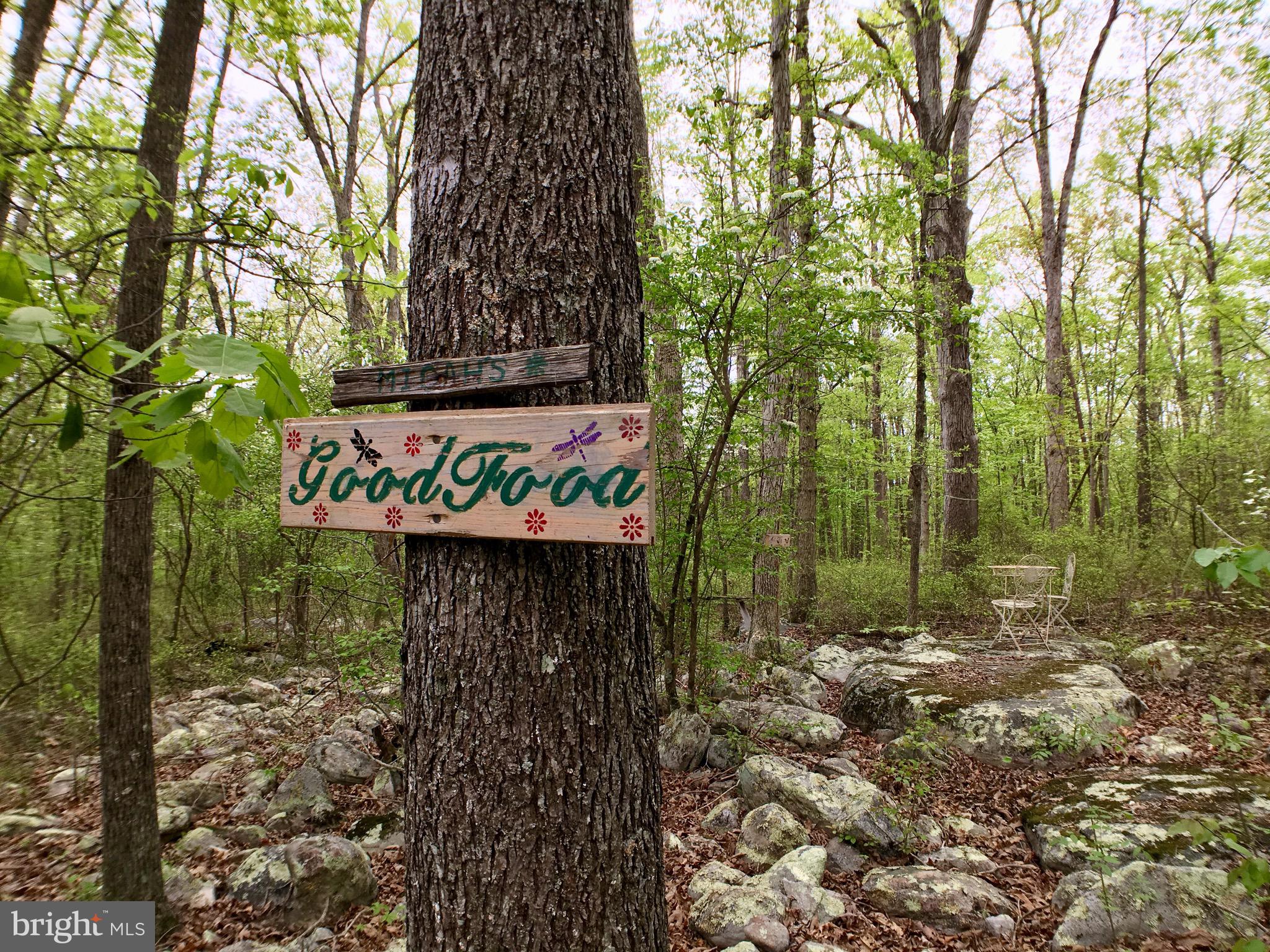 1515 Fort Valley Road Luray, VA 22835 - Photo 33 of 148 Rear Yard - Walking Path Rock Garden Sign Art
