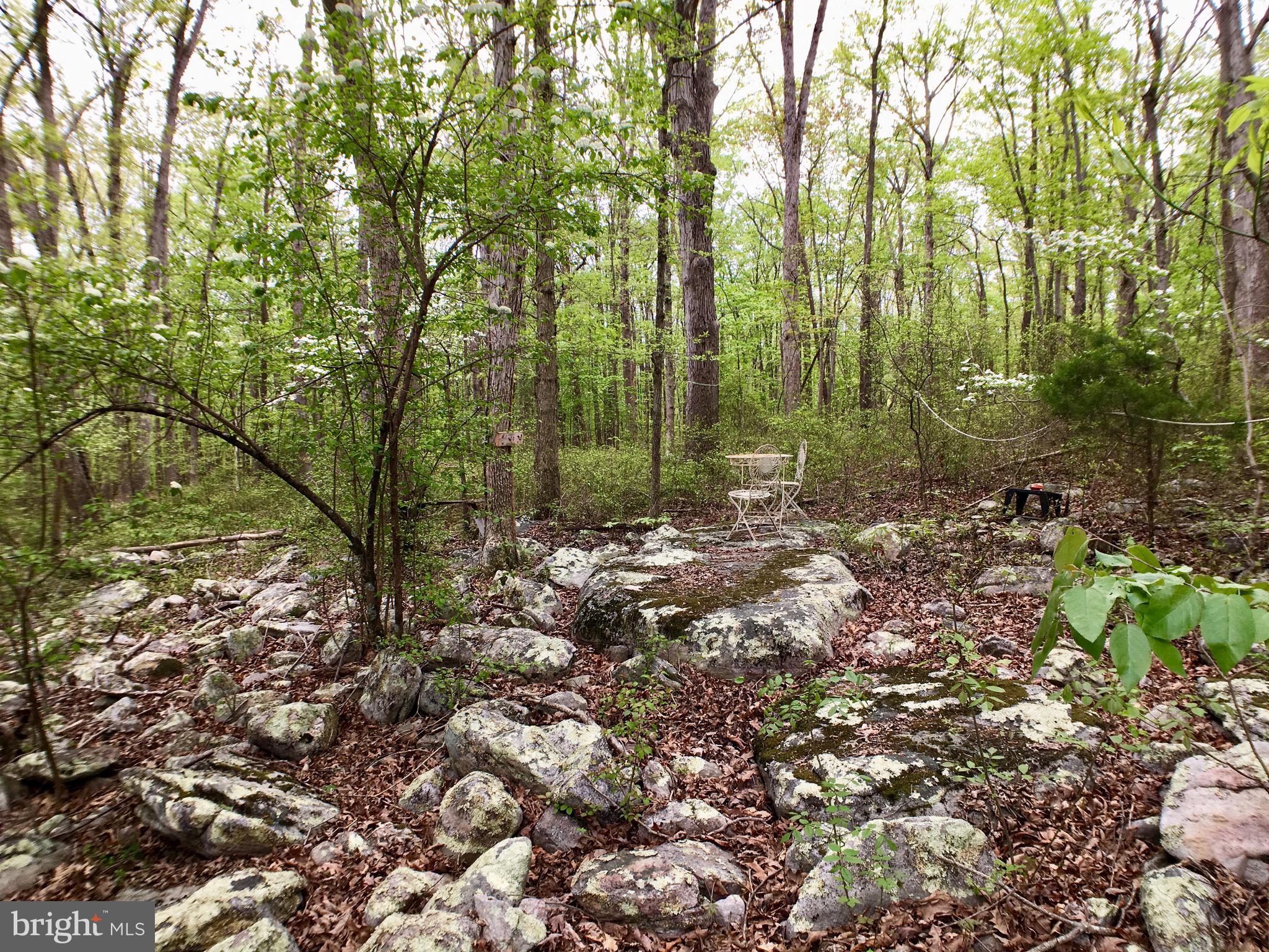 1515 Fort Valley Road Luray, VA 22835 - Photo 34 of 148 Rear Yard - Walking Path Rock Garden / Picnic Area