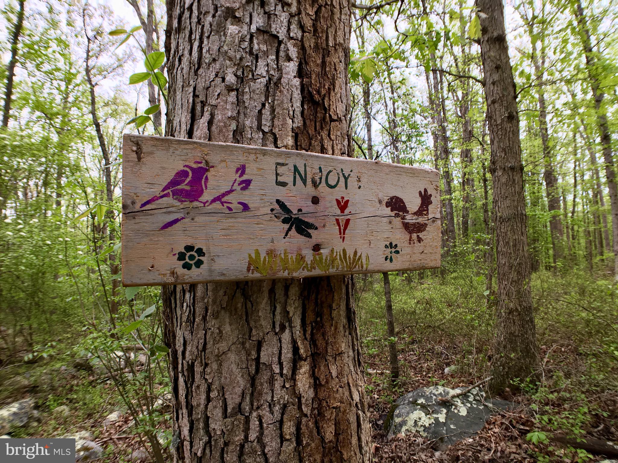 1515 Fort Valley Road Luray, VA 22835 - Photo 35 of 148 Rear Yard - Walking Path Rock Garden Sign Art
