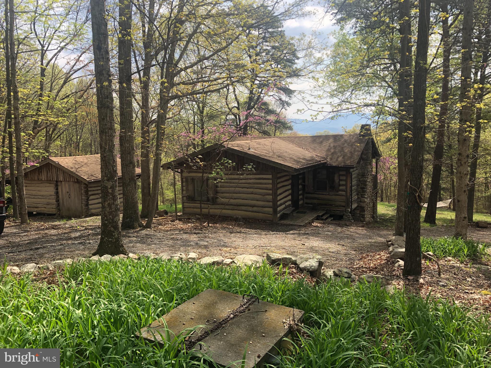 1515 Fort Valley Road Luray, VA 22835 - Photo 39 of 148 Exterior - Main Cabin & Workshop (Left)
