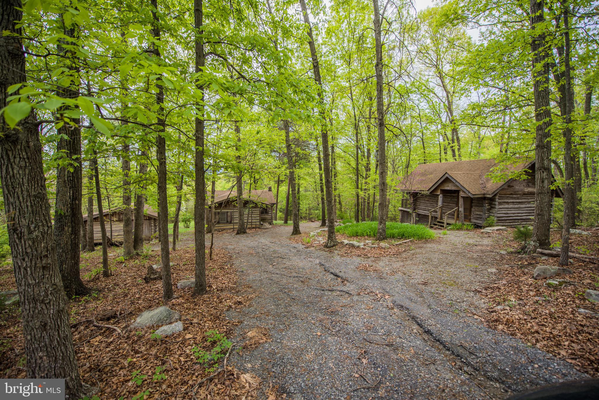 1515 Fort Valley Road Luray, VA 22835 - Photo 42 of 148 View from Driveway Entrance - 2 Cabins & Workshop