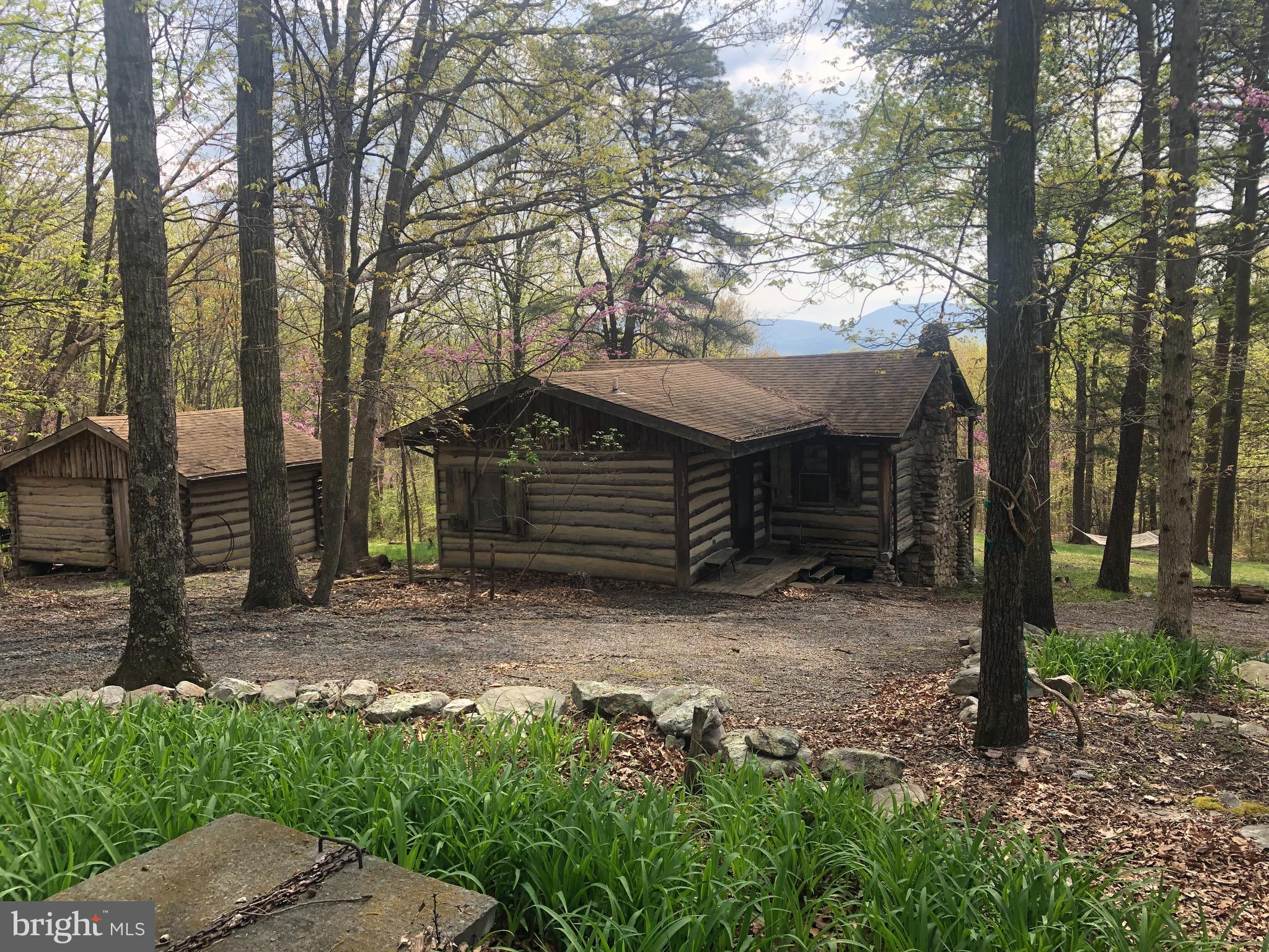 1515 Fort Valley Road Luray, VA 22835 - Photo 43 of 148 Exterior - Main Cabin & Workshop