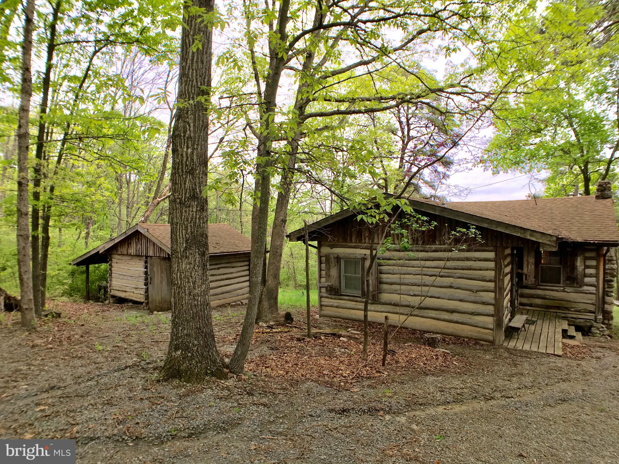 1515 Fort Valley Road Luray, VA 22835 - Photo 44 of 148 Exterior - Main Cabin & Workshop