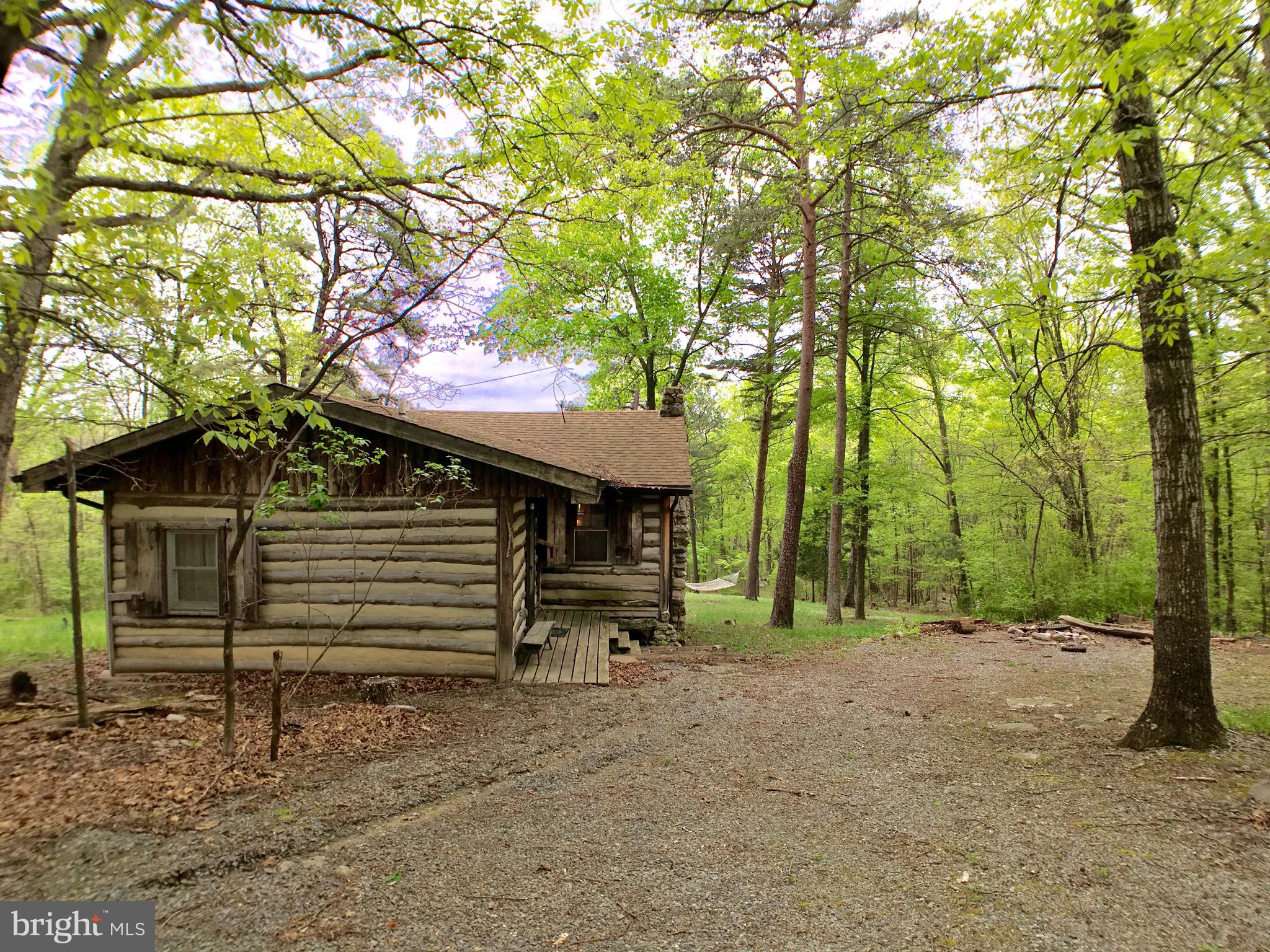 1515 Fort Valley Road Luray, VA 22835 - Photo 46 of 148 Exterior - Main Cabin