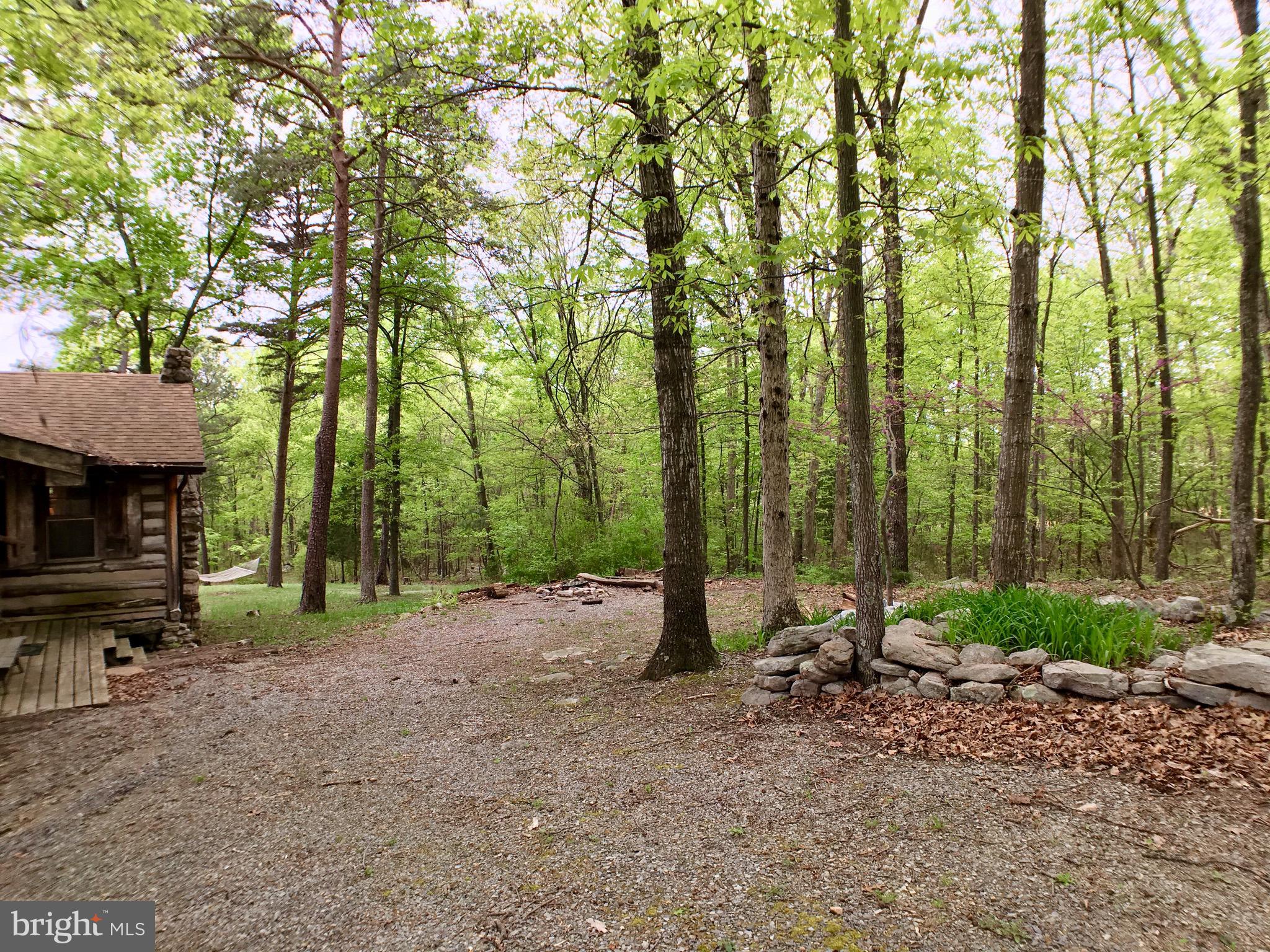 1515 Fort Valley Road Luray, VA 22835 - Photo 47 of 148 Exterior - Main Cabin