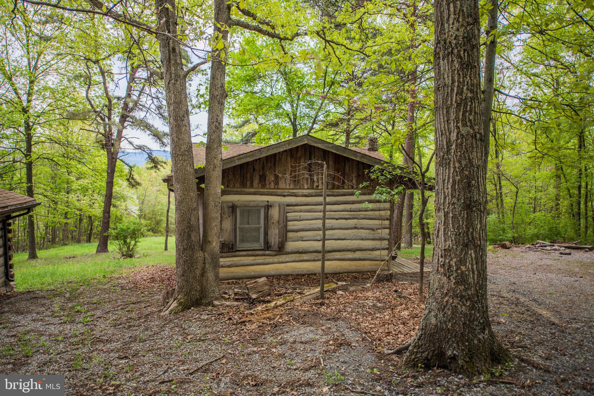 1515 Fort Valley Road Luray, VA 22835 - Photo 48 of 148 Exterior - Main Cabin