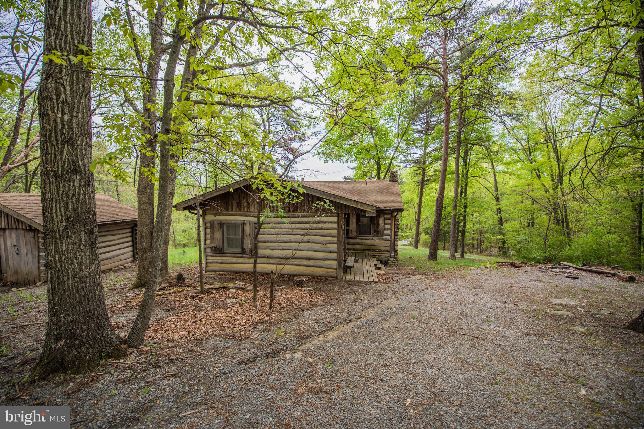 1515 Fort Valley Road Luray, VA 22835 - Photo 49 of 148 Exterior - Main Cabin