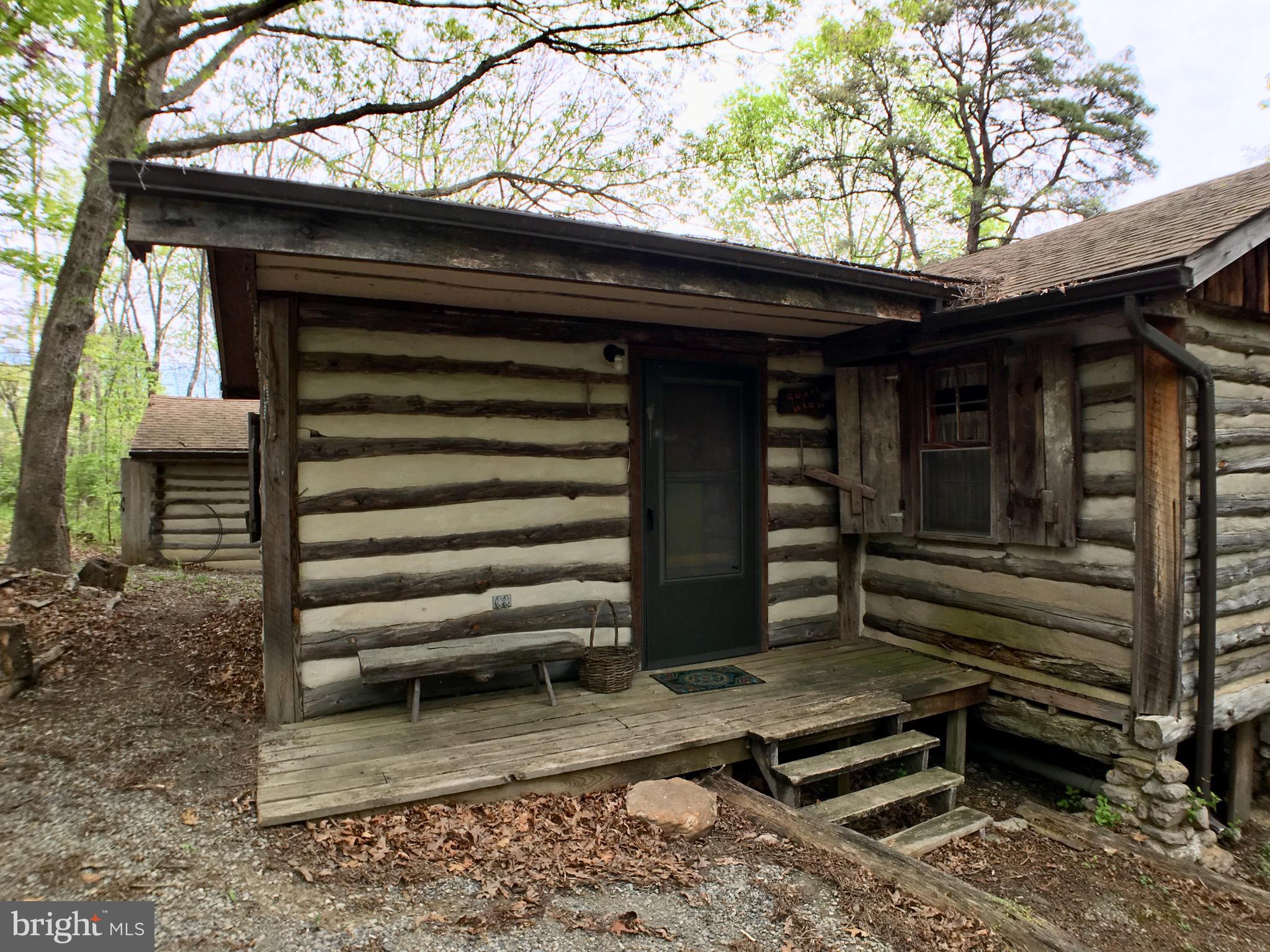 1515 Fort Valley Road Luray, VA 22835 - Photo 50 of 148 Exterior - Main Cabin Entrance