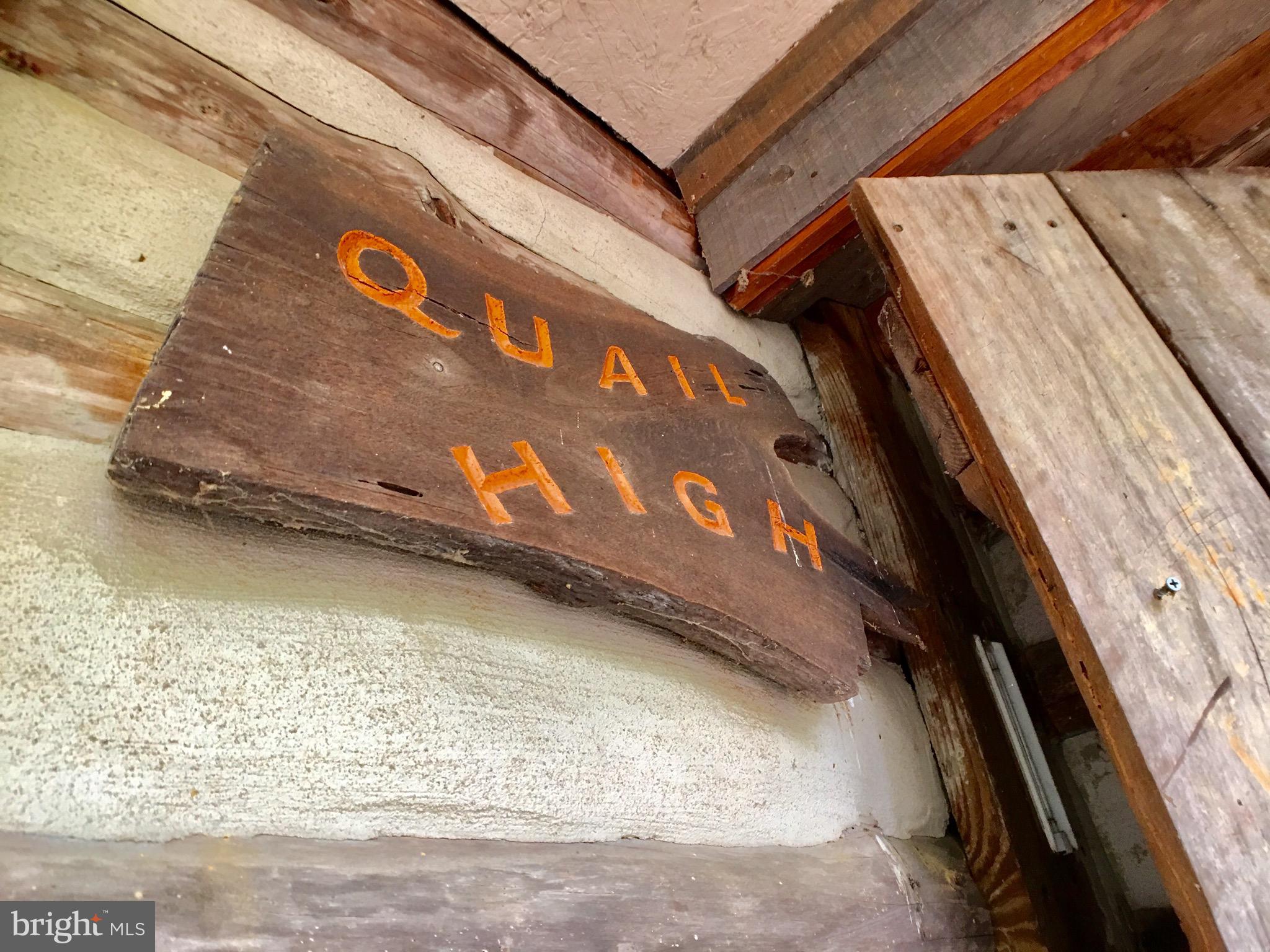 1515 Fort Valley Road Luray, VA 22835 - Photo 51 of 148 Exterior - Main Cabin Custom Art