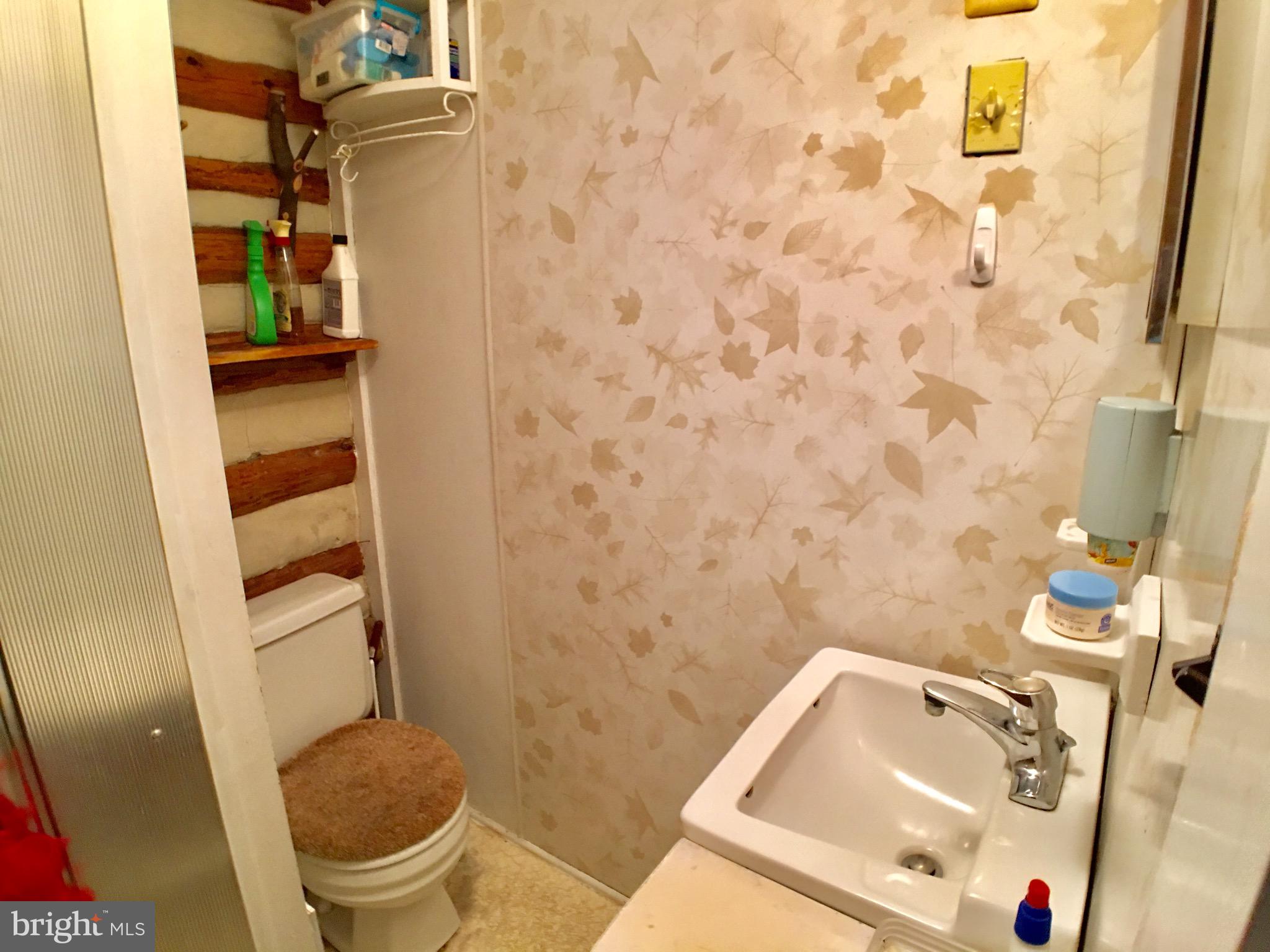 1515 Fort Valley Road Luray, VA 22835 - Photo 57 of 148 Main Cabin - Full Bathroom