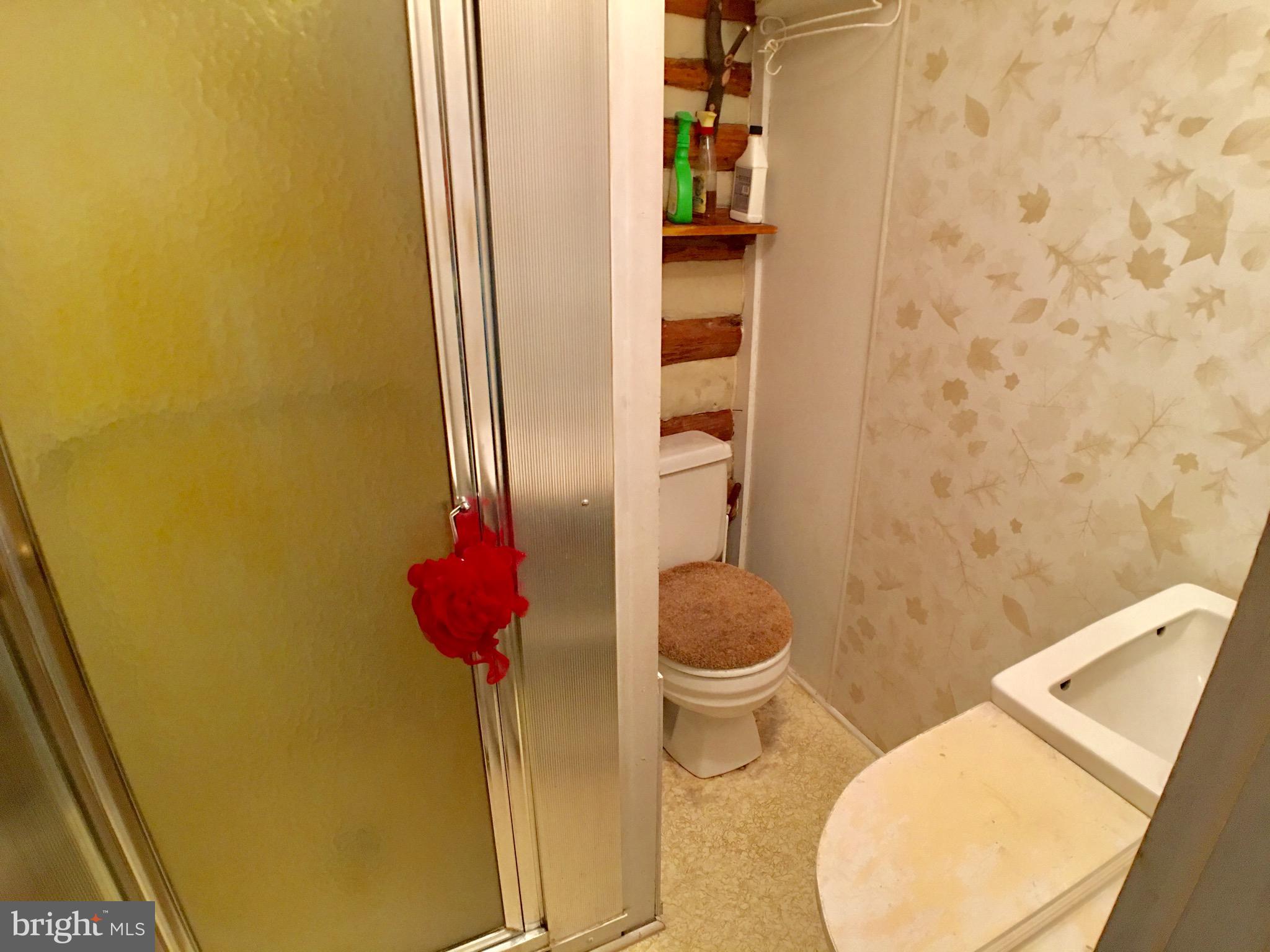 1515 Fort Valley Road Luray, VA 22835 - Photo 58 of 148 Main Cabin - Full Bathroom