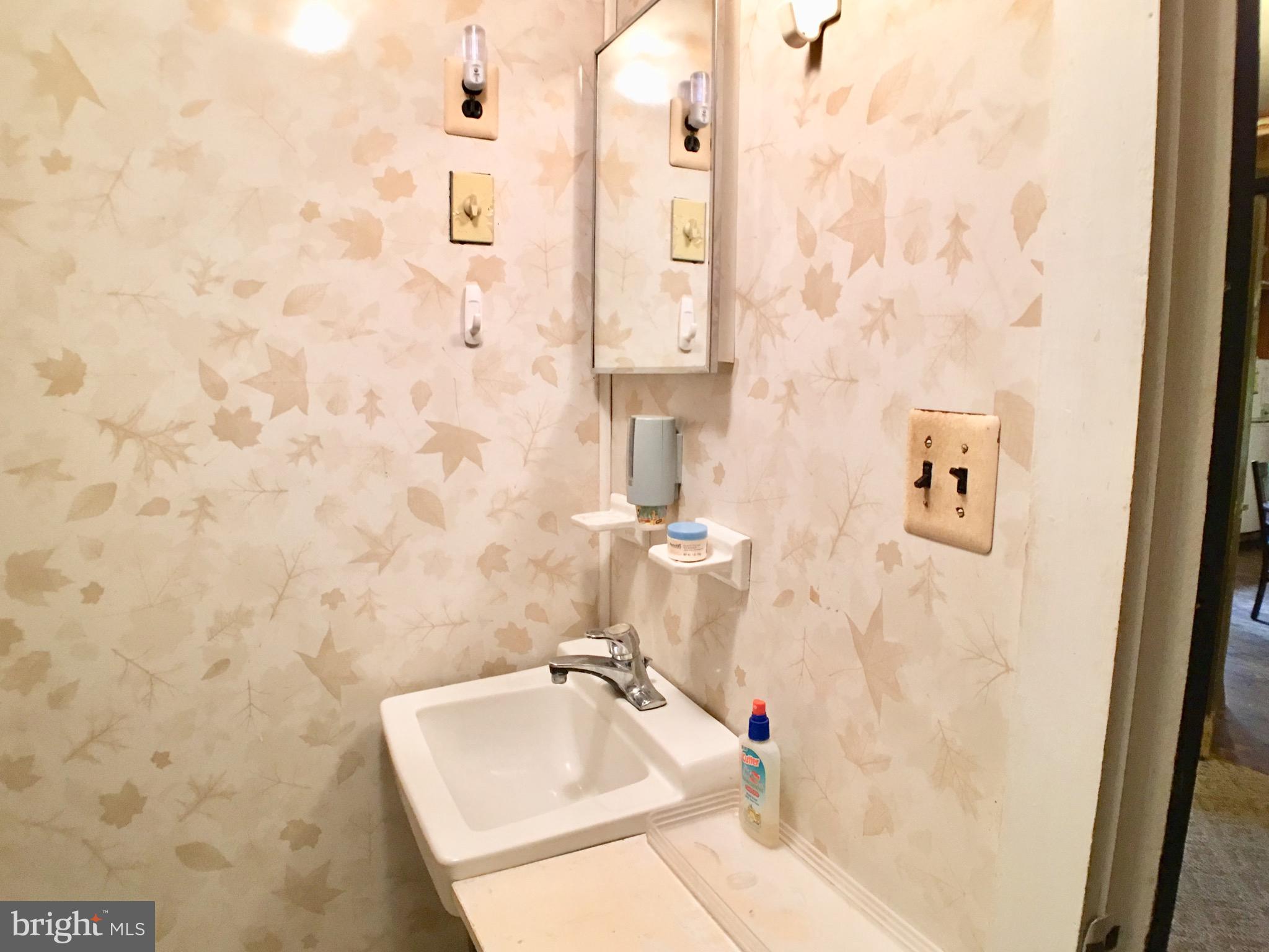 1515 Fort Valley Road Luray, VA 22835 - Photo 59 of 148 Main Cabin - Full Bathroom
