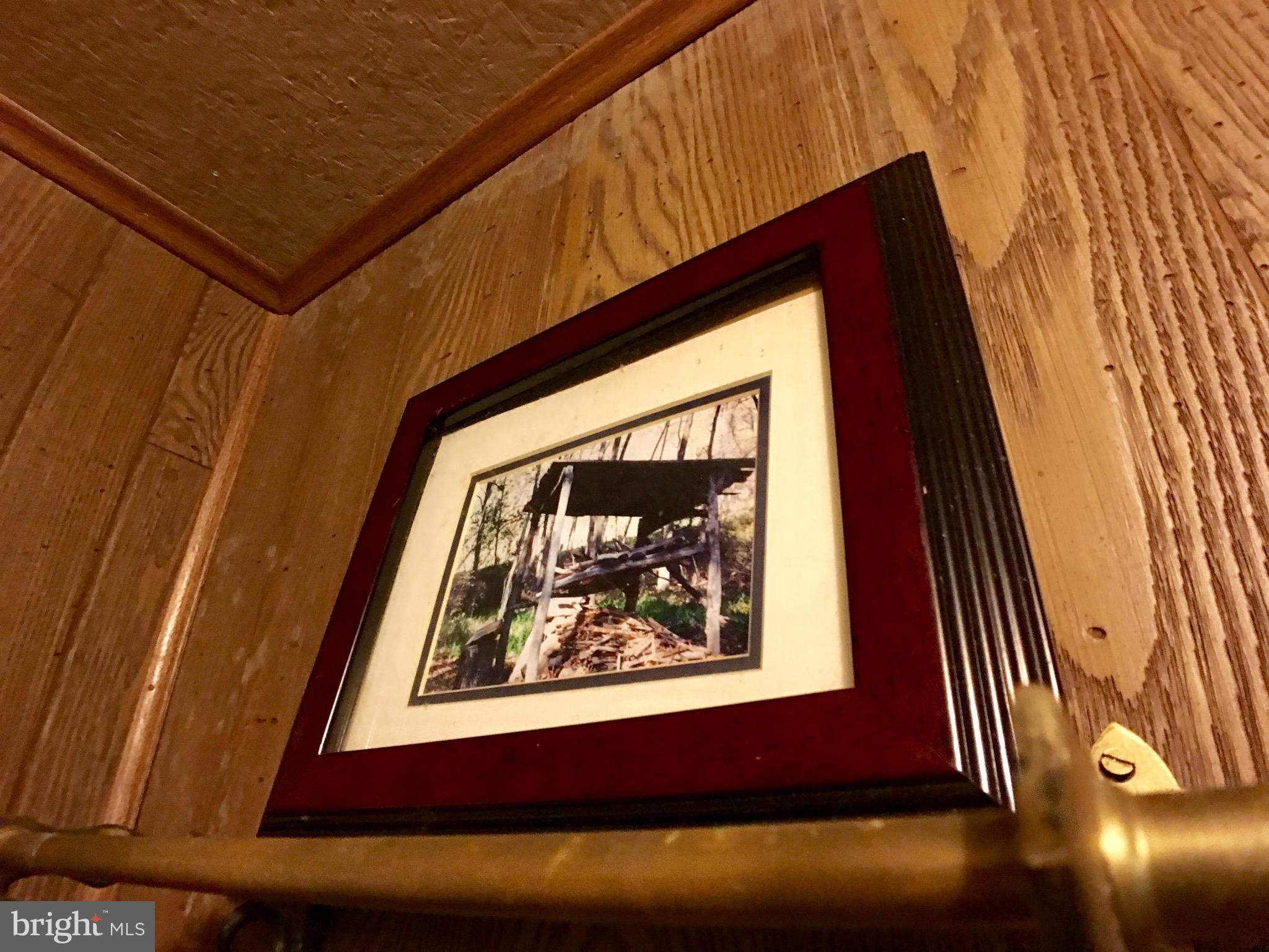 1515 Fort Valley Road Luray, VA 22835 - Photo 69 of 148 Main Cabin - Wall Art