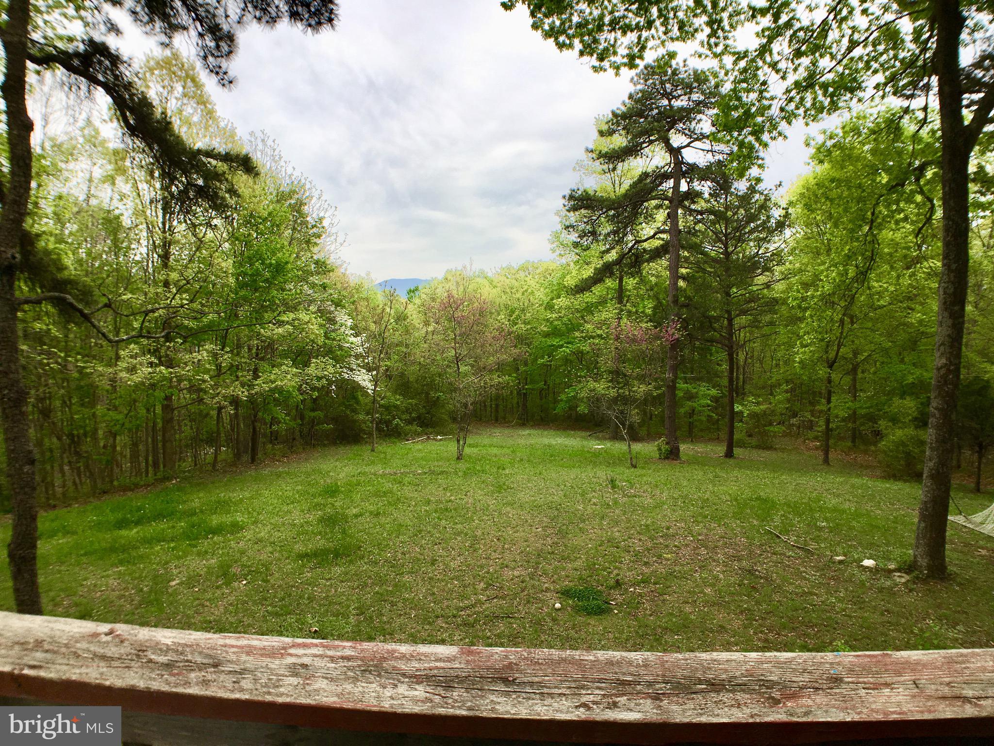 1515 Fort Valley Road Luray, VA 22835 - Photo 90 of 148 Main Cabin - Covered Rear Deck View