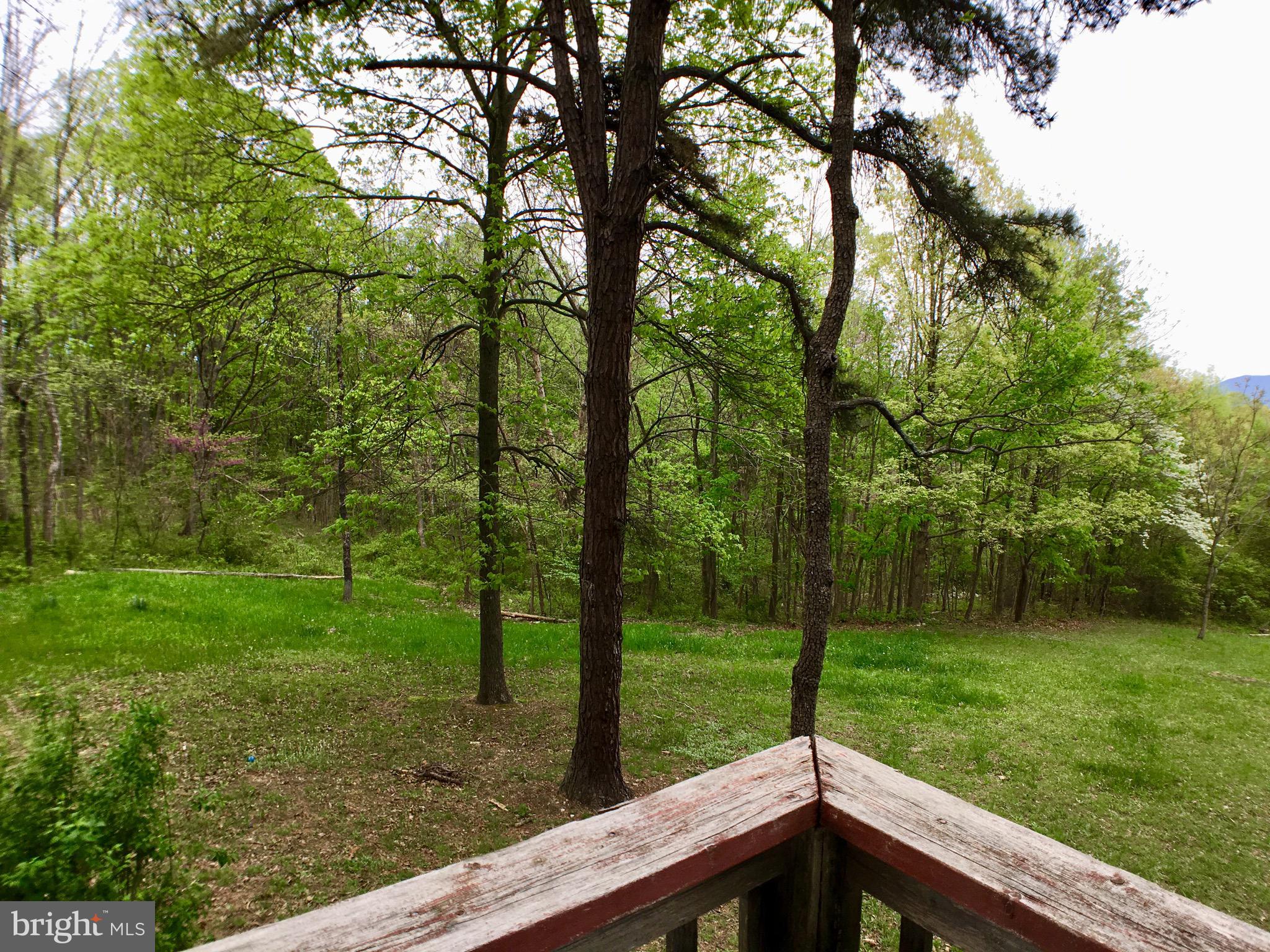 1515 Fort Valley Road Luray, VA 22835 - Photo 91 of 148 Main Cabin - Covered Rear Deck View