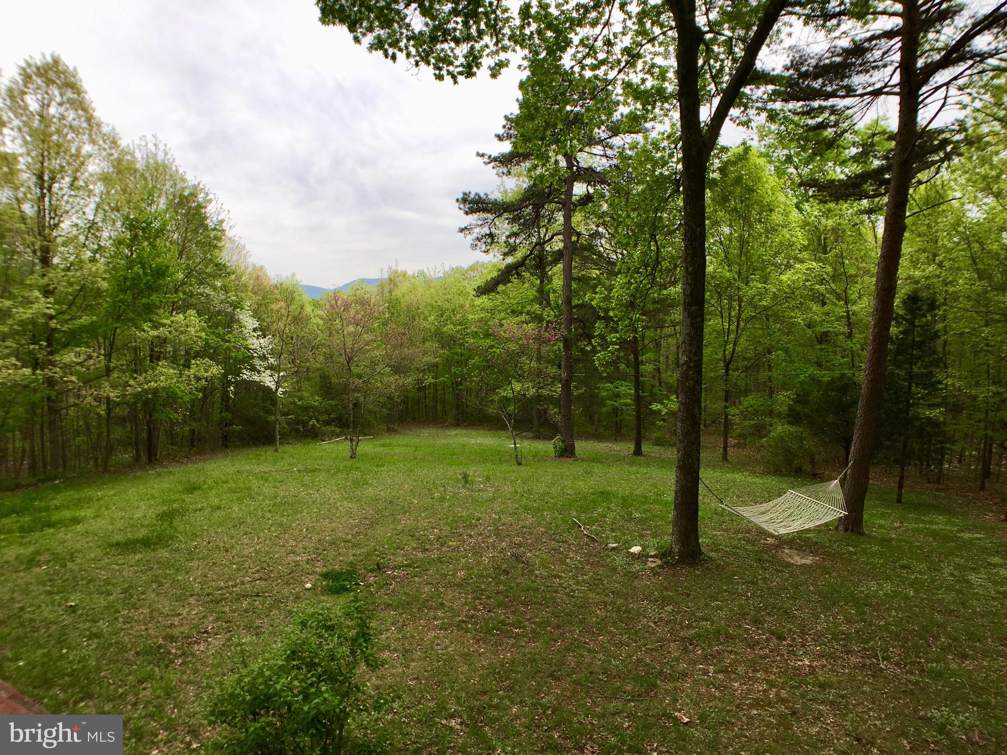 1515 Fort Valley Road Luray, VA 22835 - Photo 93 of 148 Main Cabin - Covered Rear Deck View