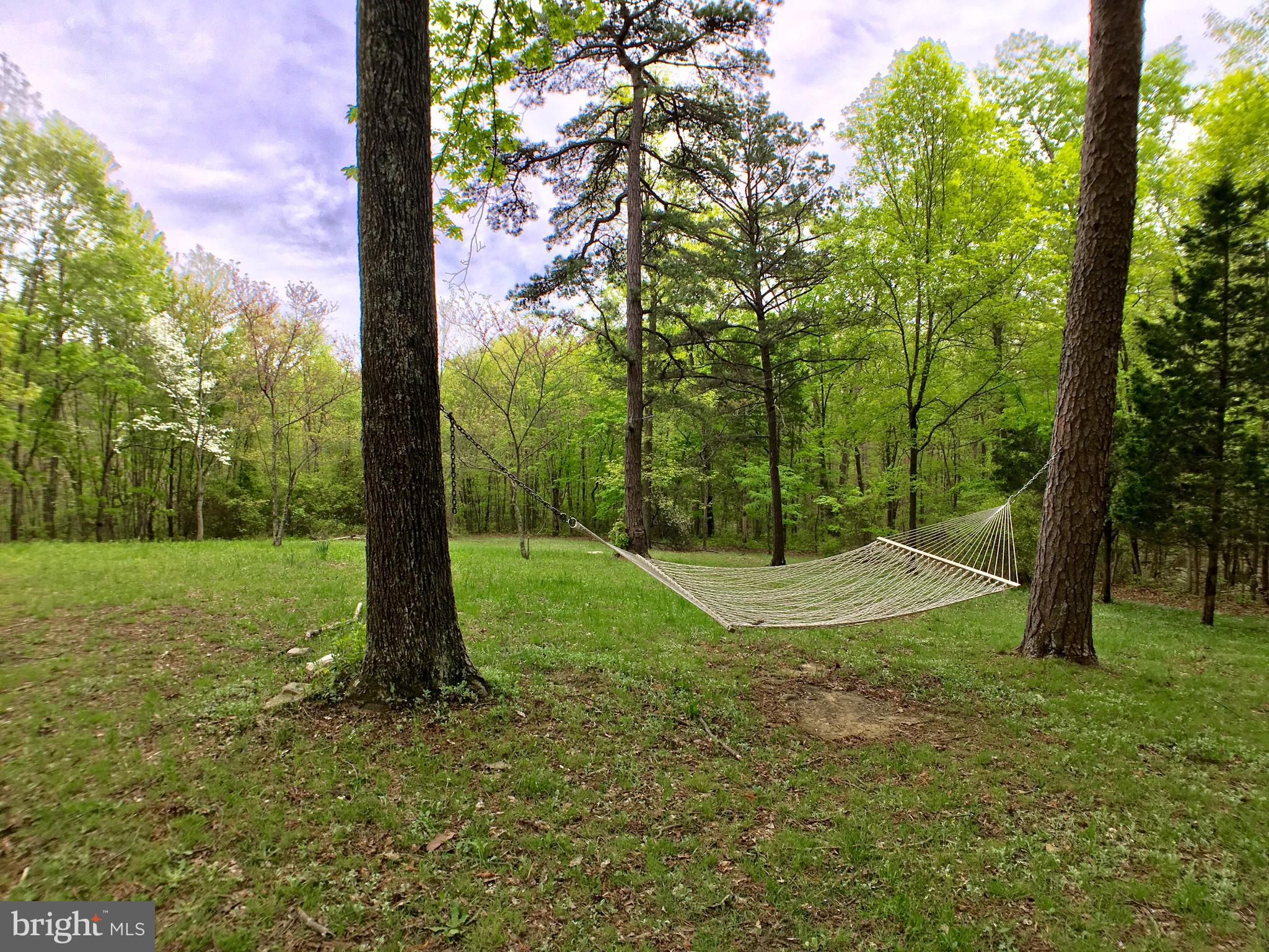 1515 Fort Valley Road Luray, VA 22835 - Photo 95 of 148 Rear Yard backs to Trees