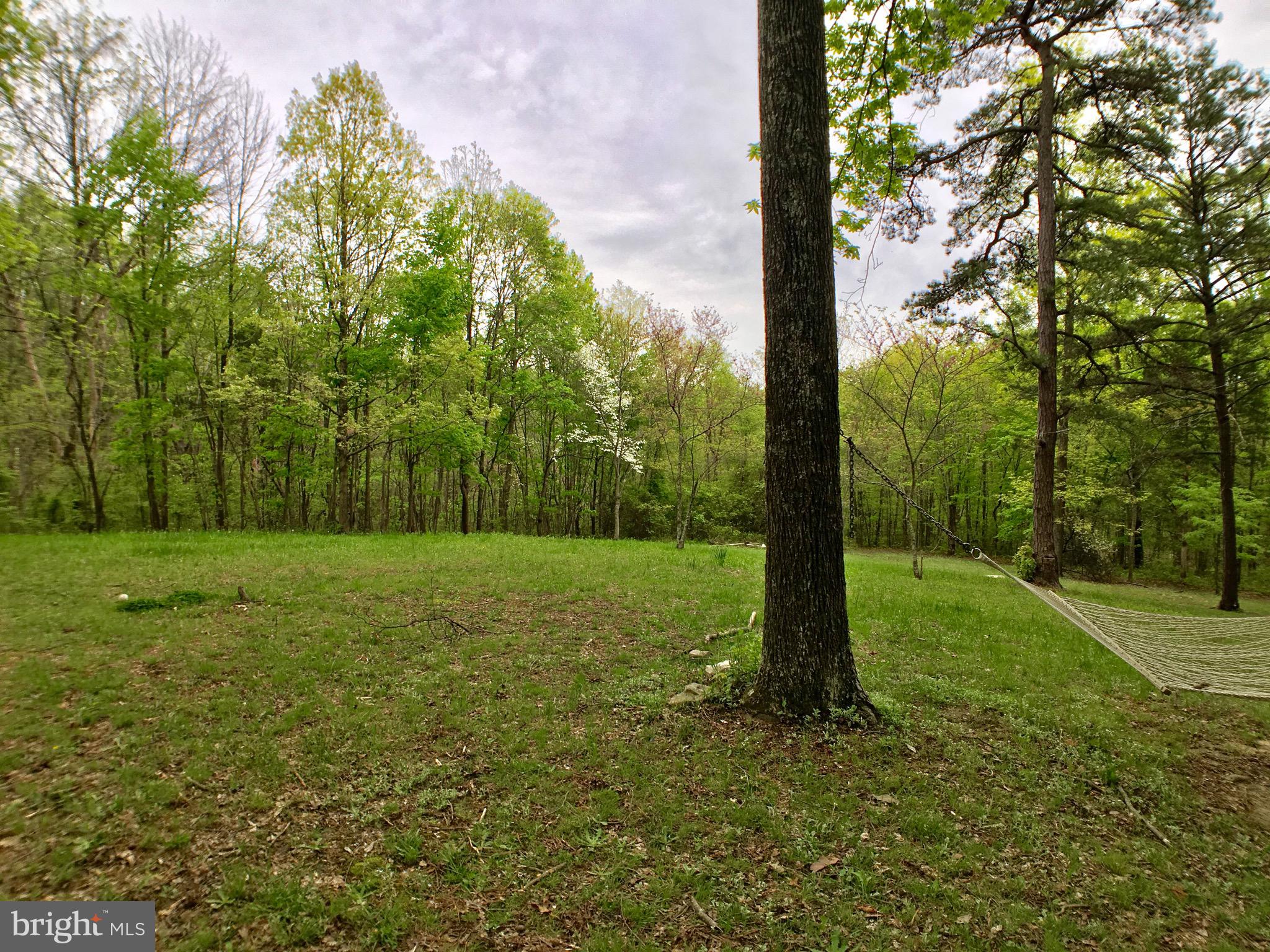 1515 Fort Valley Road Luray, VA 22835 - Photo 96 of 148 Rear Yard backs to Trees