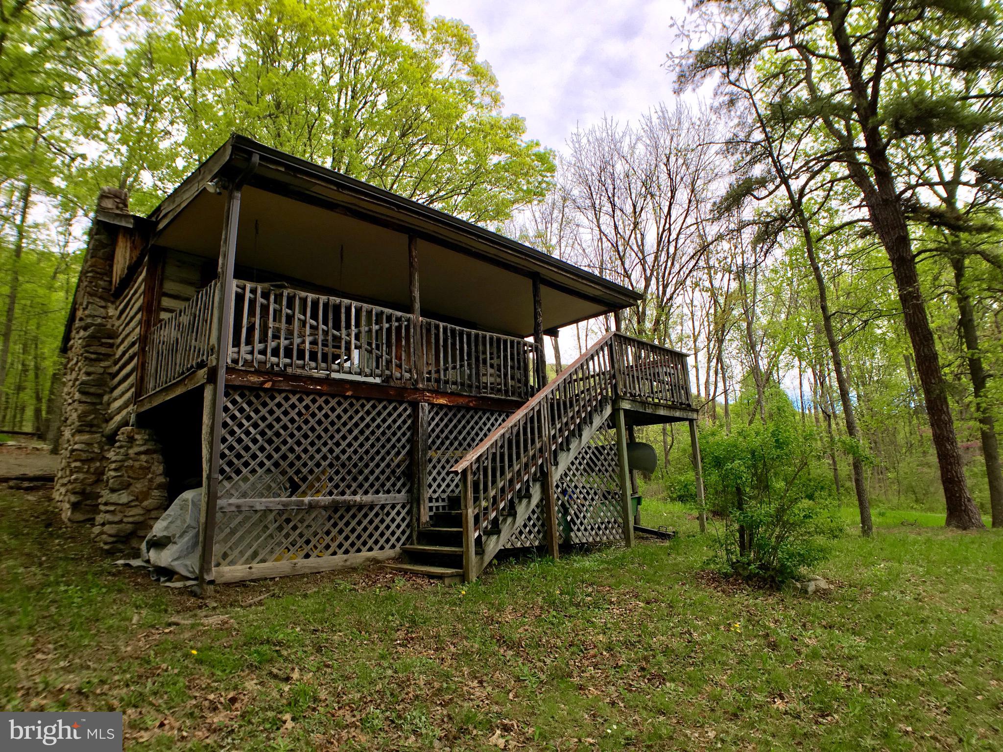 1515 Fort Valley Road Luray, VA 22835 - Photo 99 of 148 View from Rear Yard - Main Cabin