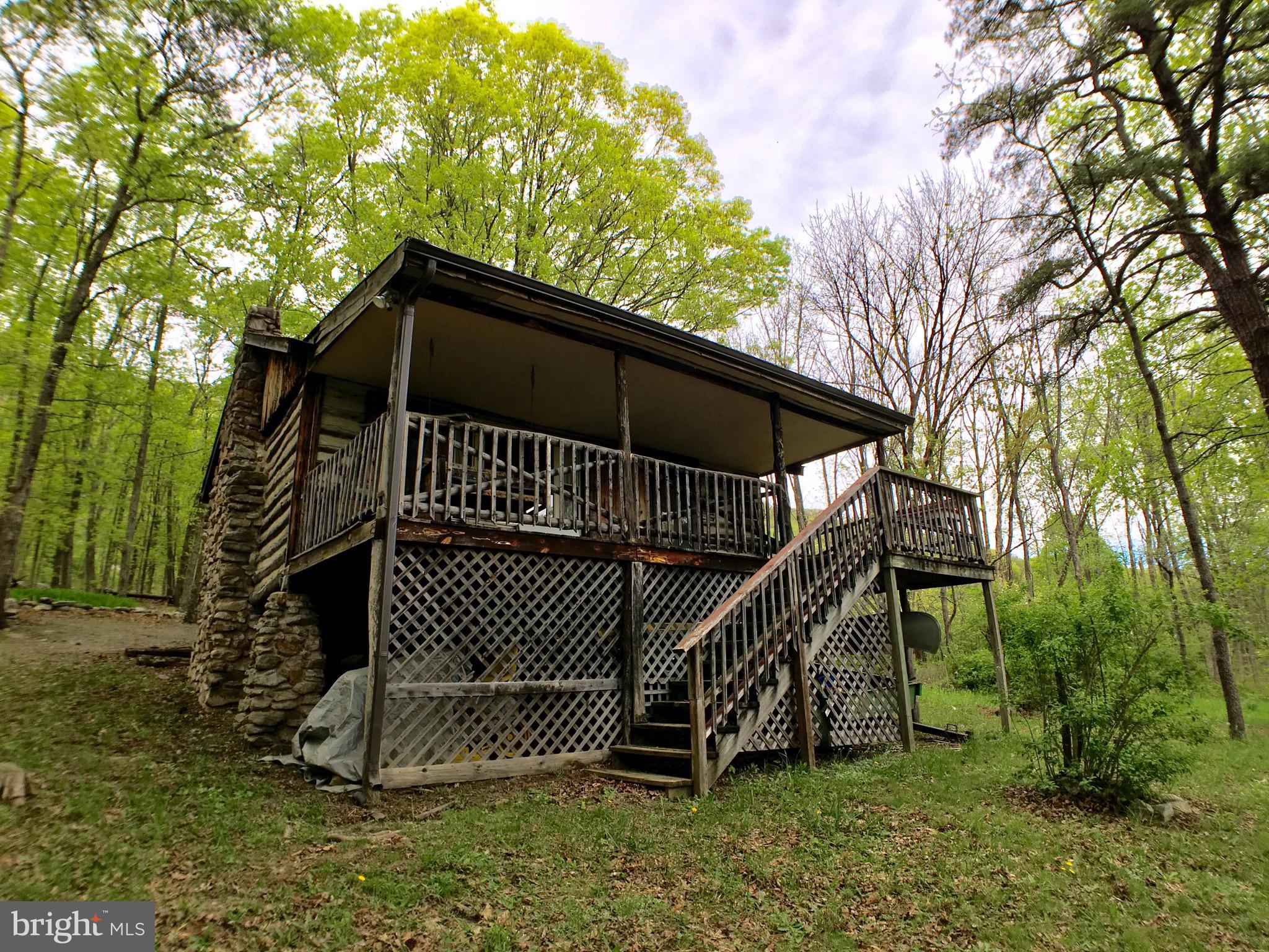 1515 Fort Valley Road Luray, VA 22835 - Photo 100 of 148 View from Rear Yard - Main Cabin