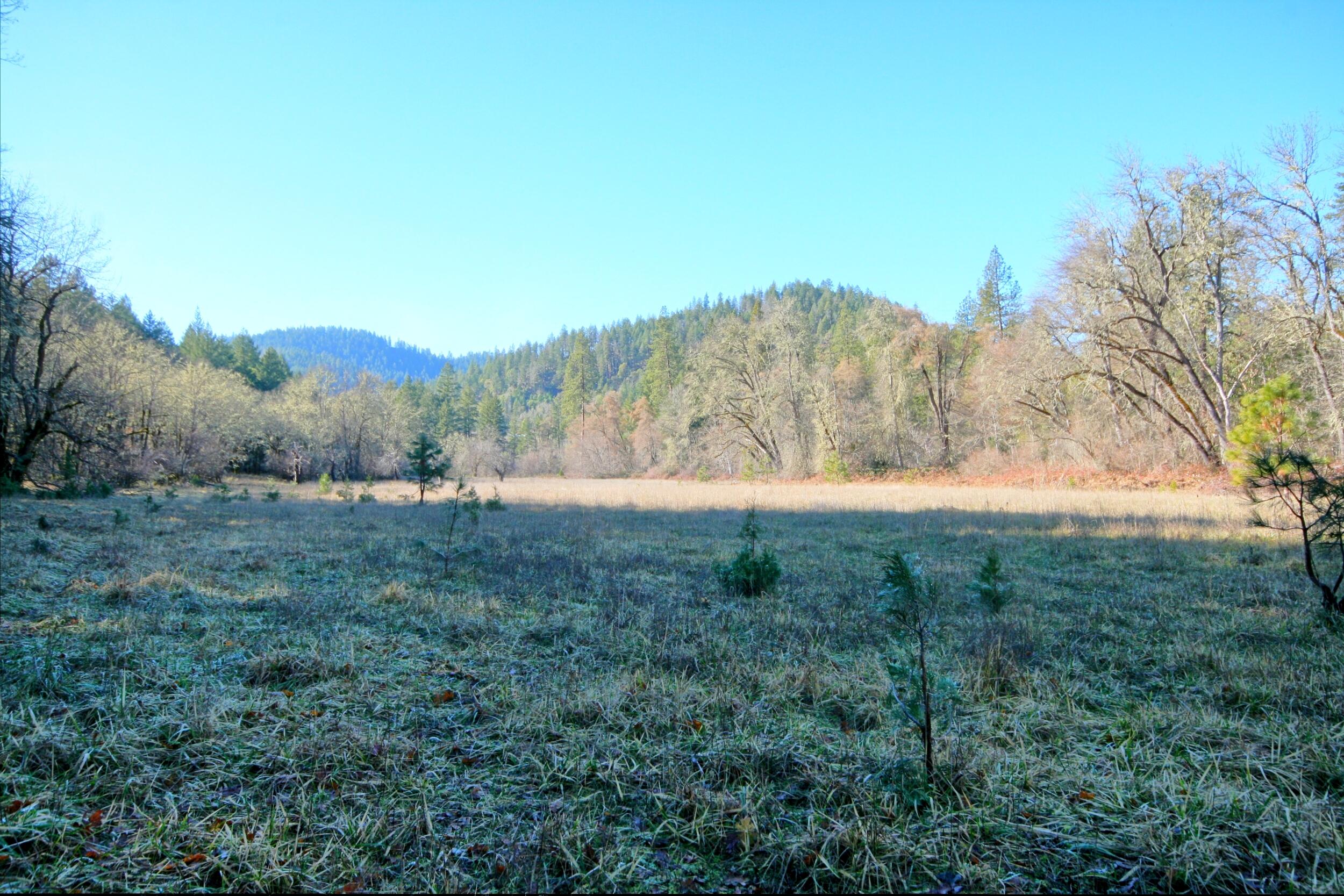 5000 Thompson Creek Road Jacksonville, OR 97530 - Photo 19 of 70 IMG_8878_79_80_easyHDR