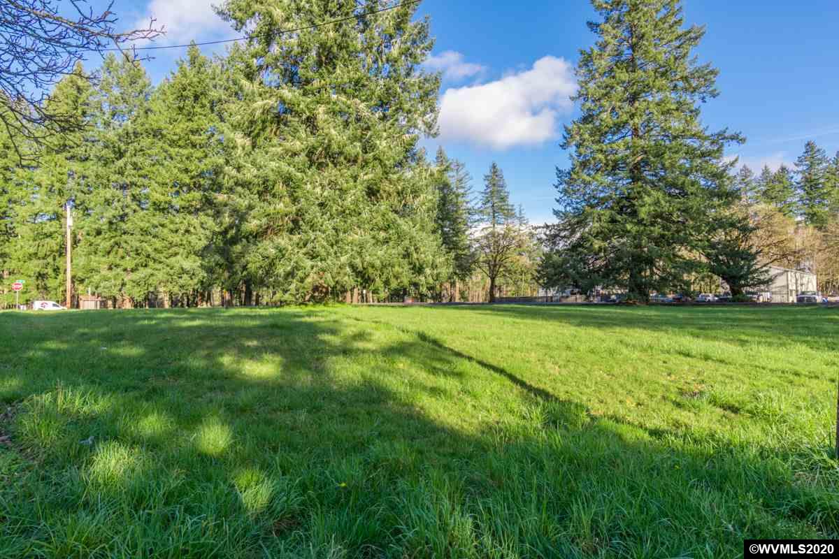 Waterloo (tl 1400) Road Lebanon, OR 97355 - Photo 11 of 30 Gallery Image 11