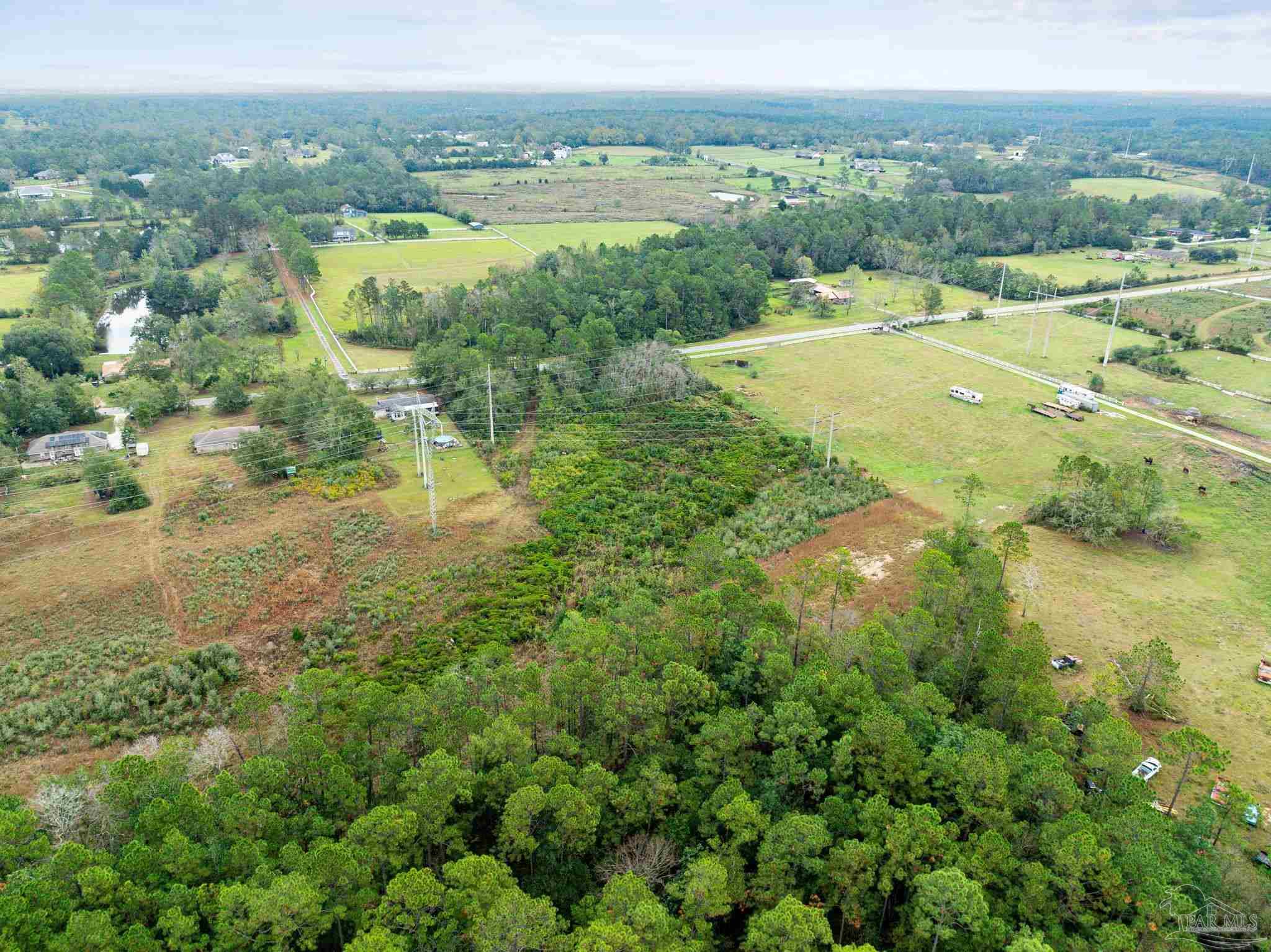 4499 Schaag Road Molino, FL 32577 - Photo 3 of 4