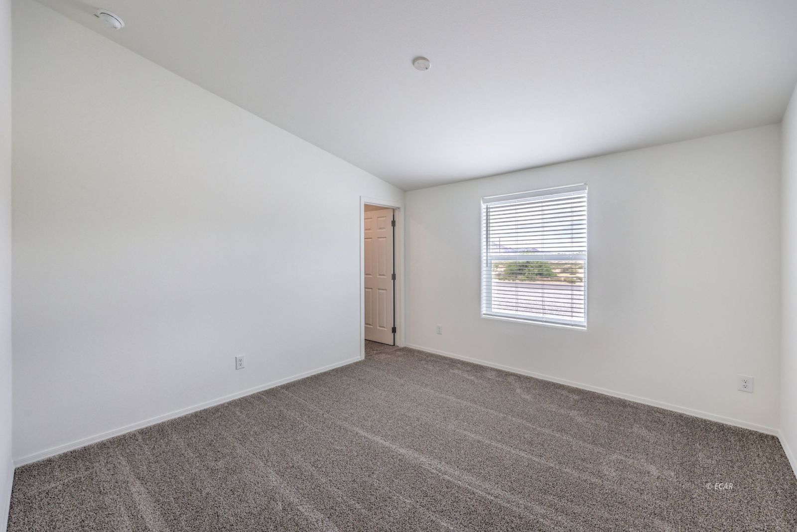 381 East Pechstein Road Pahrump, NV 89060 - Photo 29 of 46
