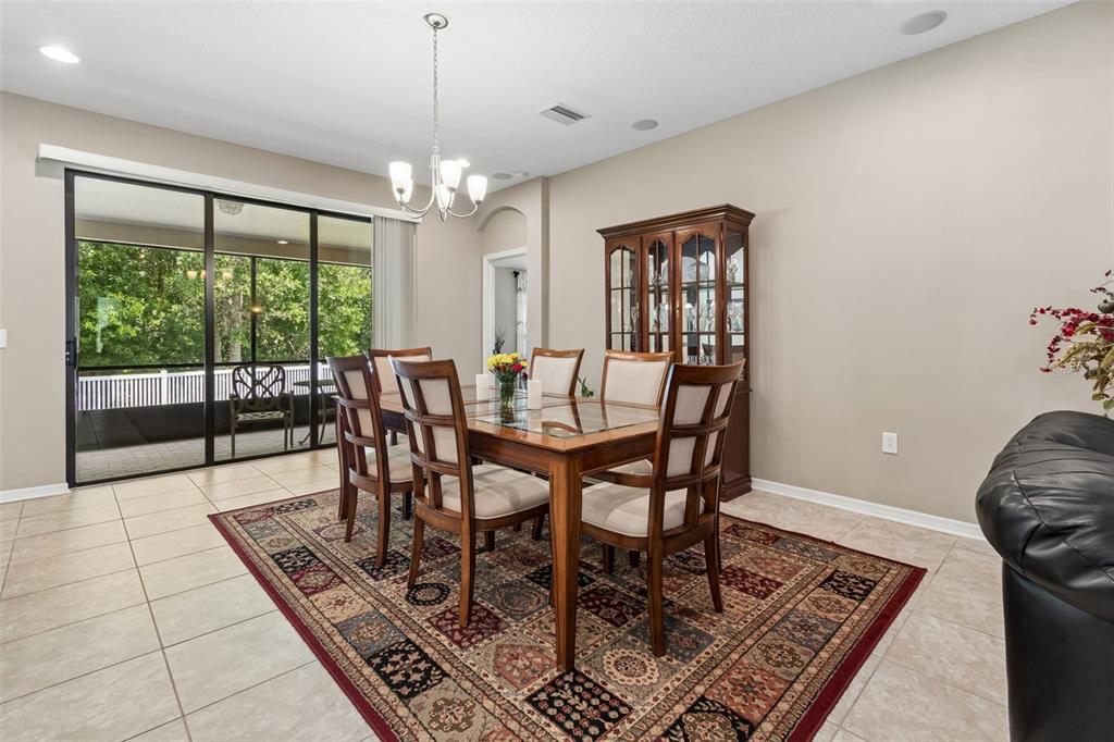 6601 Sparkling Way Wesley Chapel, FL 33545 - Photo 10 of 51