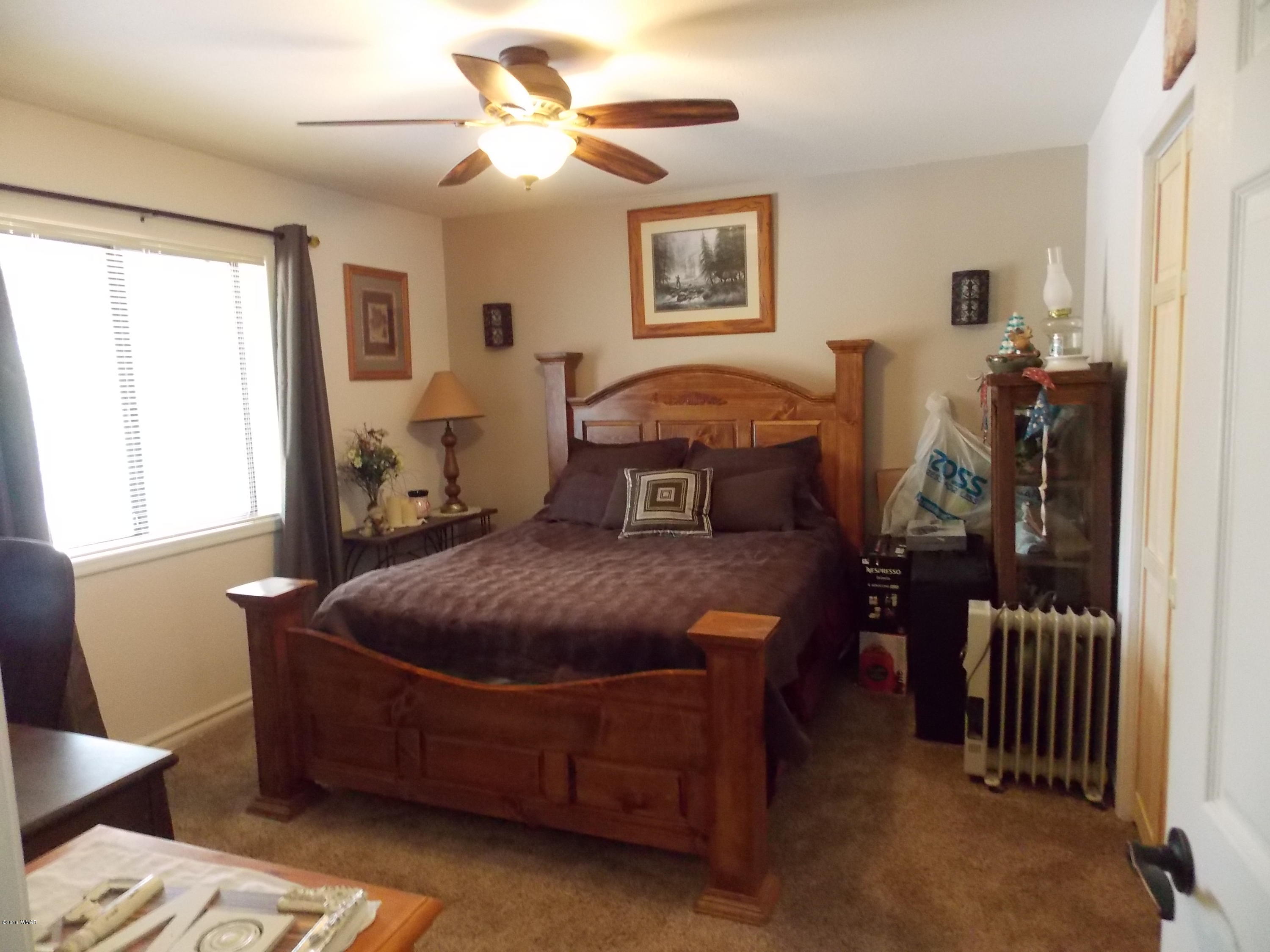 3359 Turkey Run Overgaard, AZ 85933 - Photo 14 of 48 Gallery Image 14