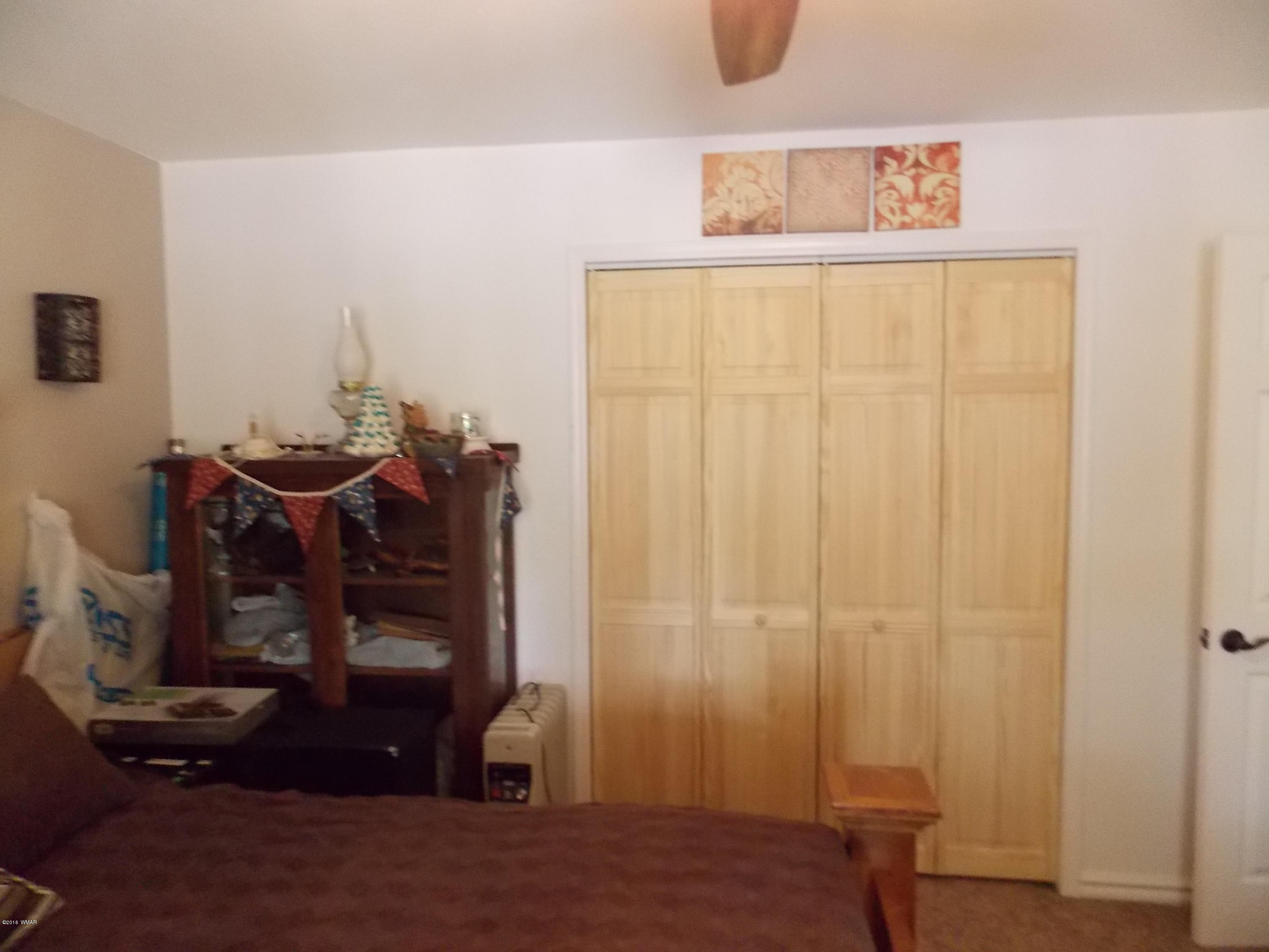 3359 Turkey Run Overgaard, AZ 85933 - Photo 16 of 48 Gallery Image 16