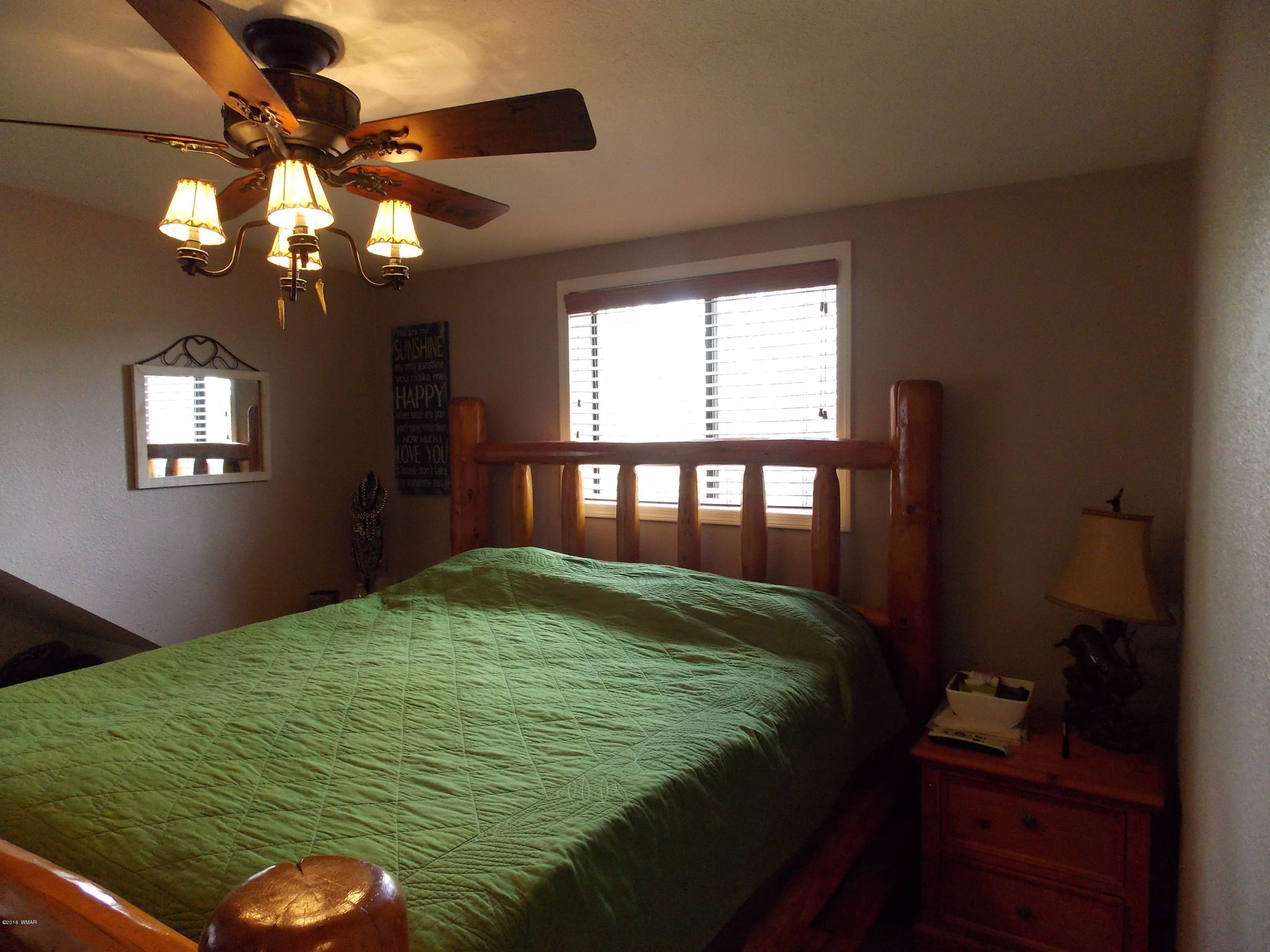 3359 Turkey Run Overgaard, AZ 85933 - Photo 29 of 48 Gallery Image 29
