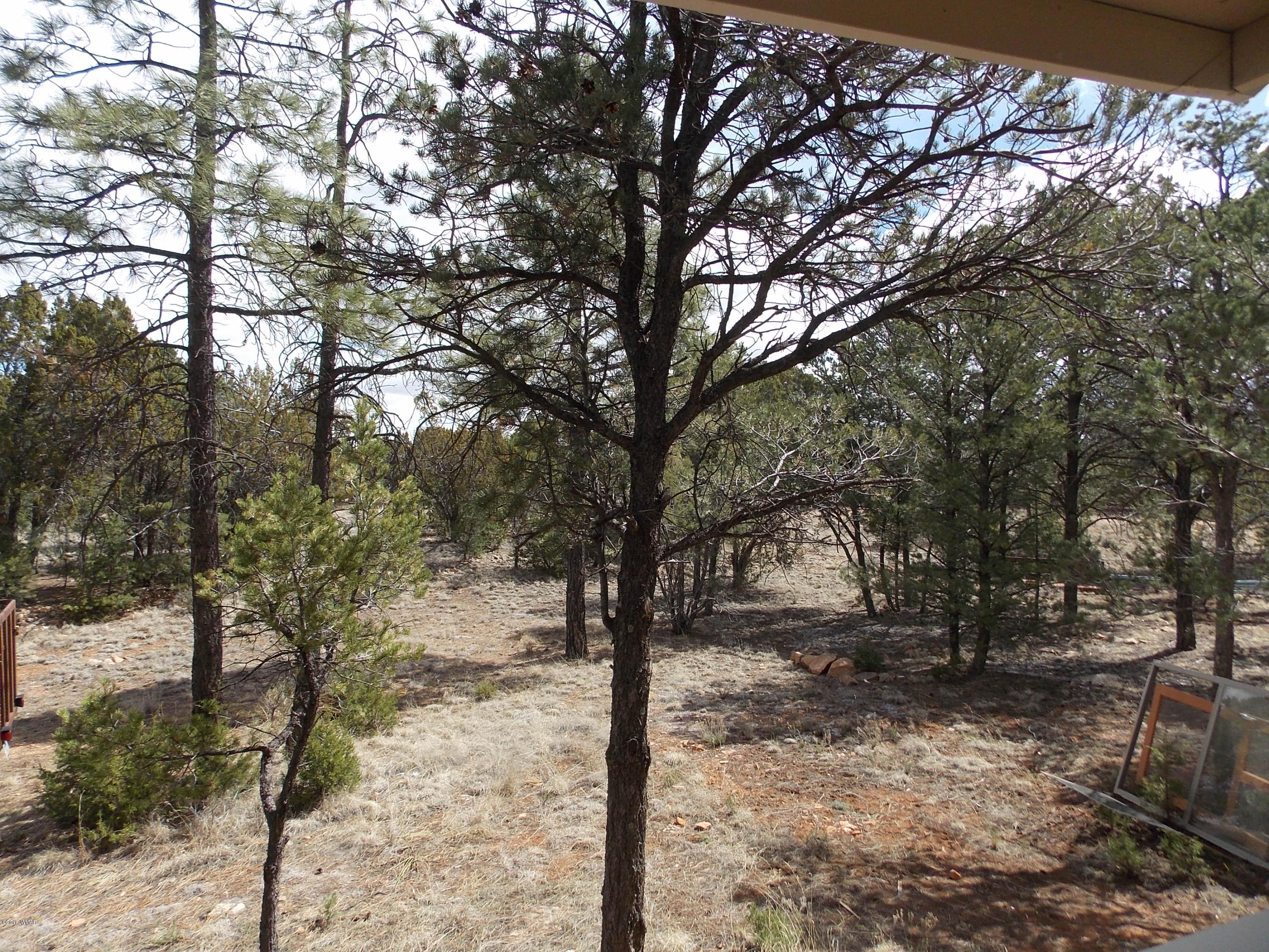 3359 Turkey Run Overgaard, AZ 85933 - Photo 34 of 48 Gallery Image 34