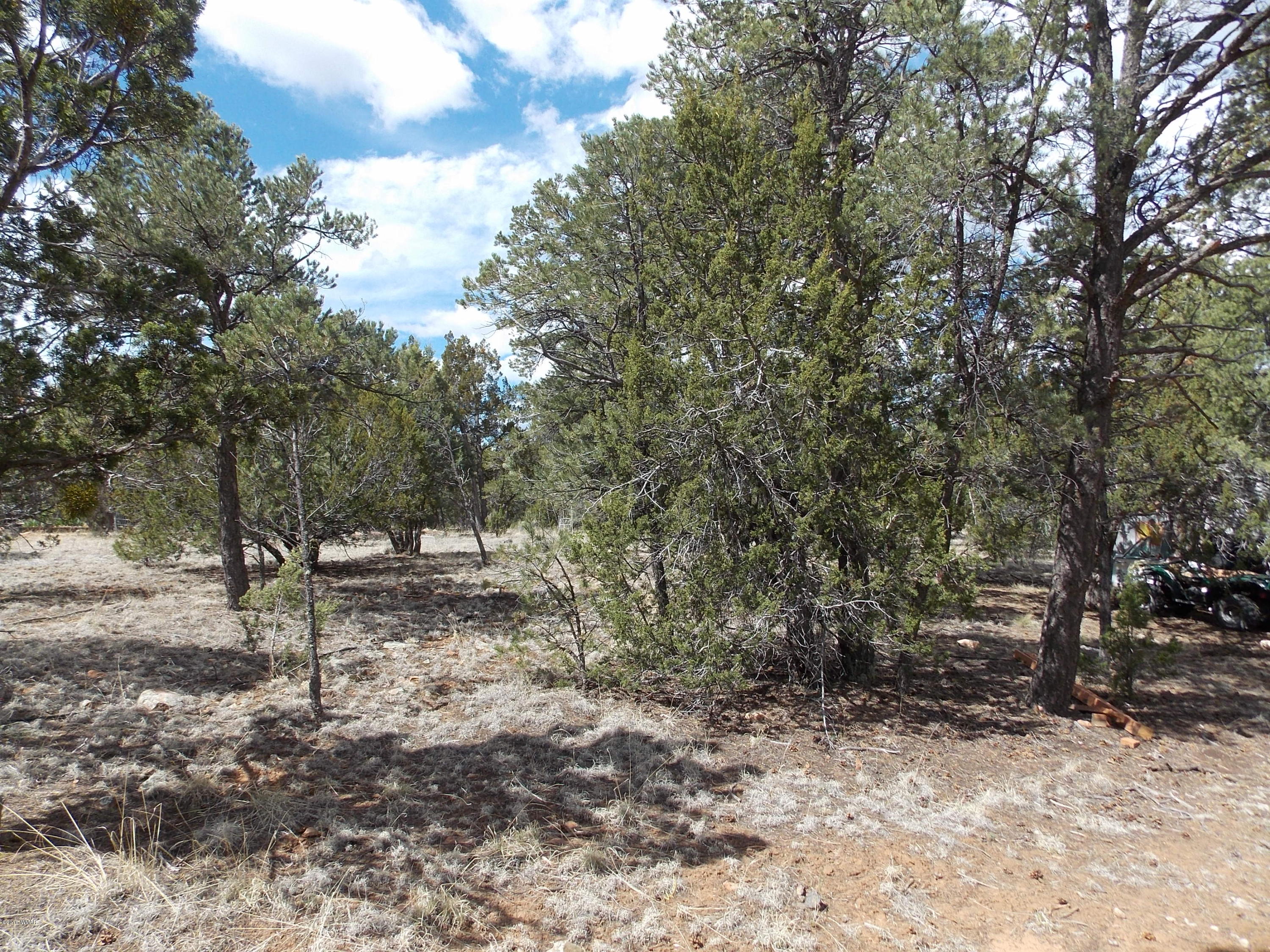 3359 Turkey Run Overgaard, AZ 85933 - Photo 36 of 48 Gallery Image 36