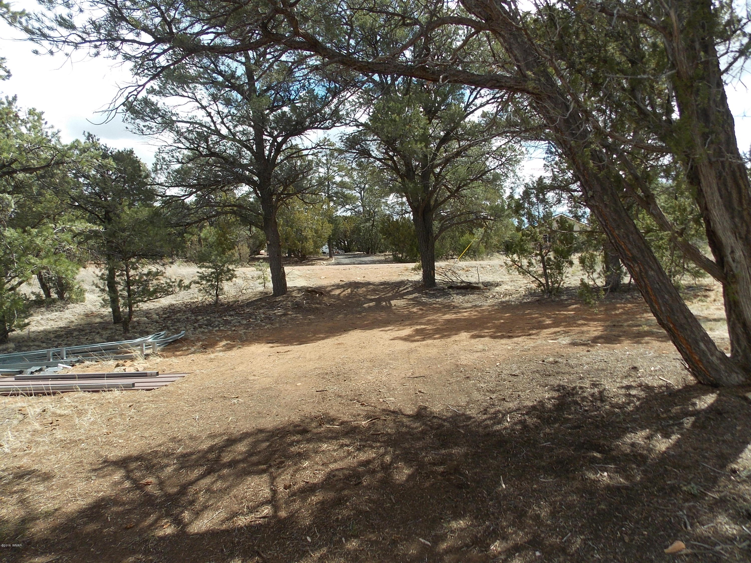 3359 Turkey Run Overgaard, AZ 85933 - Photo 38 of 48 Gallery Image 38