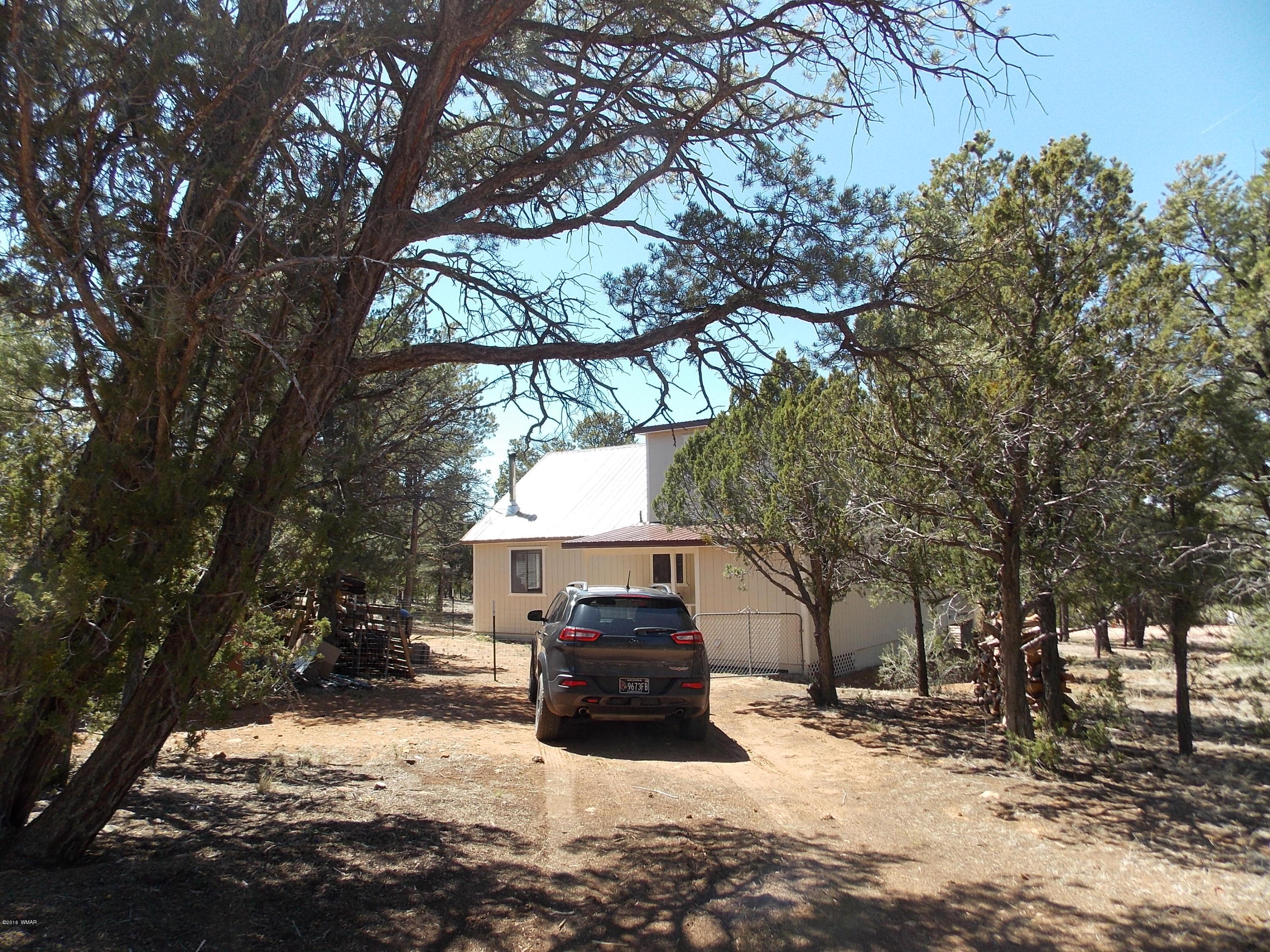 3359 Turkey Run Overgaard, AZ 85933 - Photo 44 of 48 Gallery Image 44