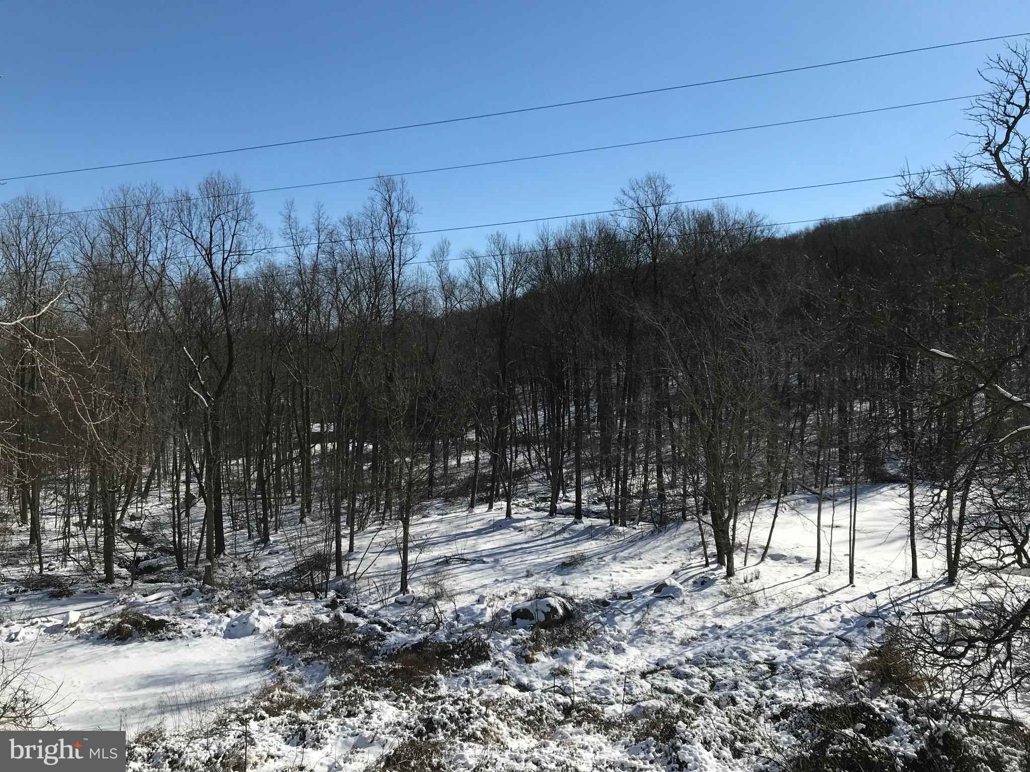 545 County Line Road Riegelsville, PA 18077 - Photo 44 of 61