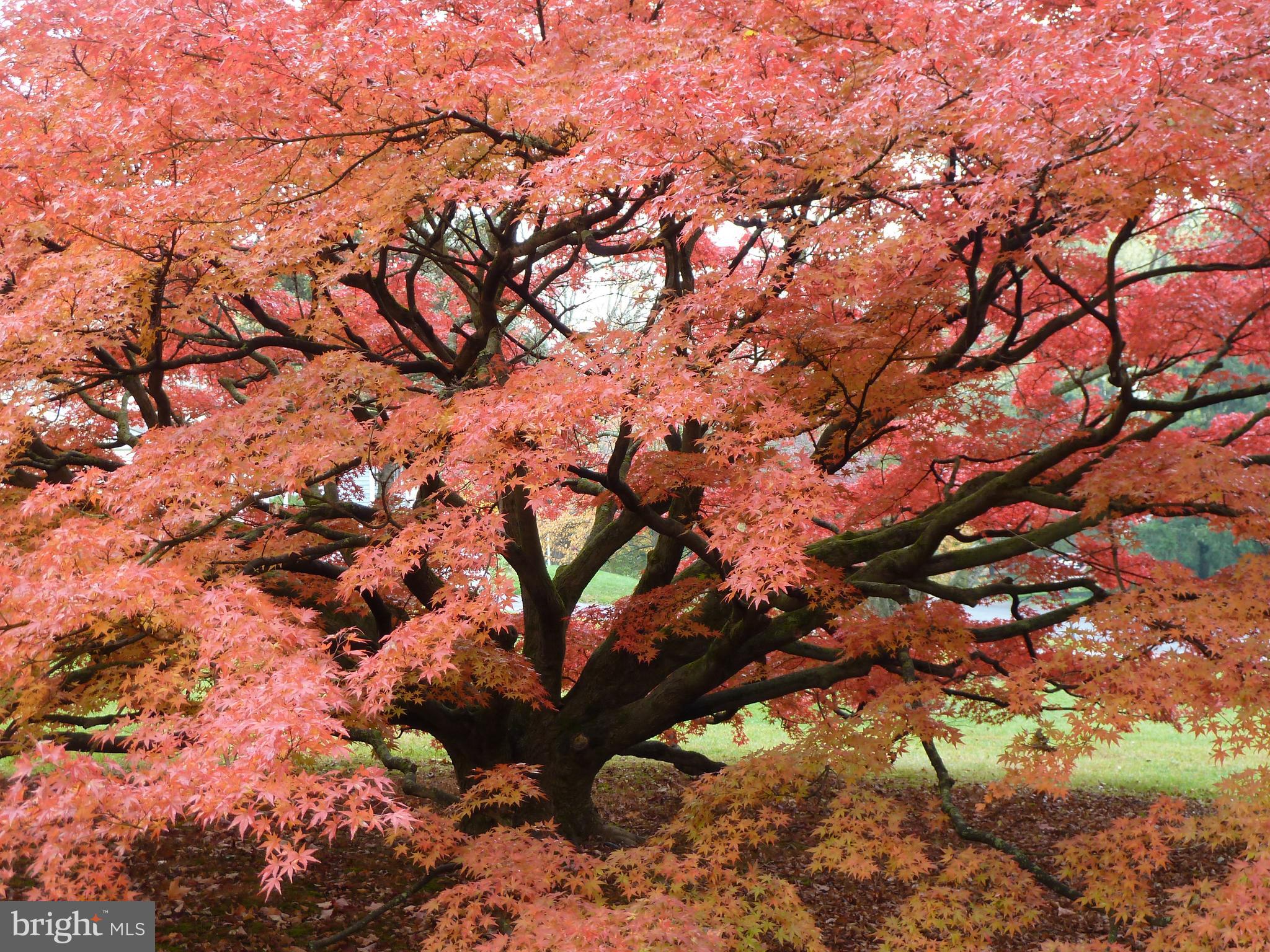 92 Homestead Drive Doylestown, PA 18901 - Photo 45 of 55