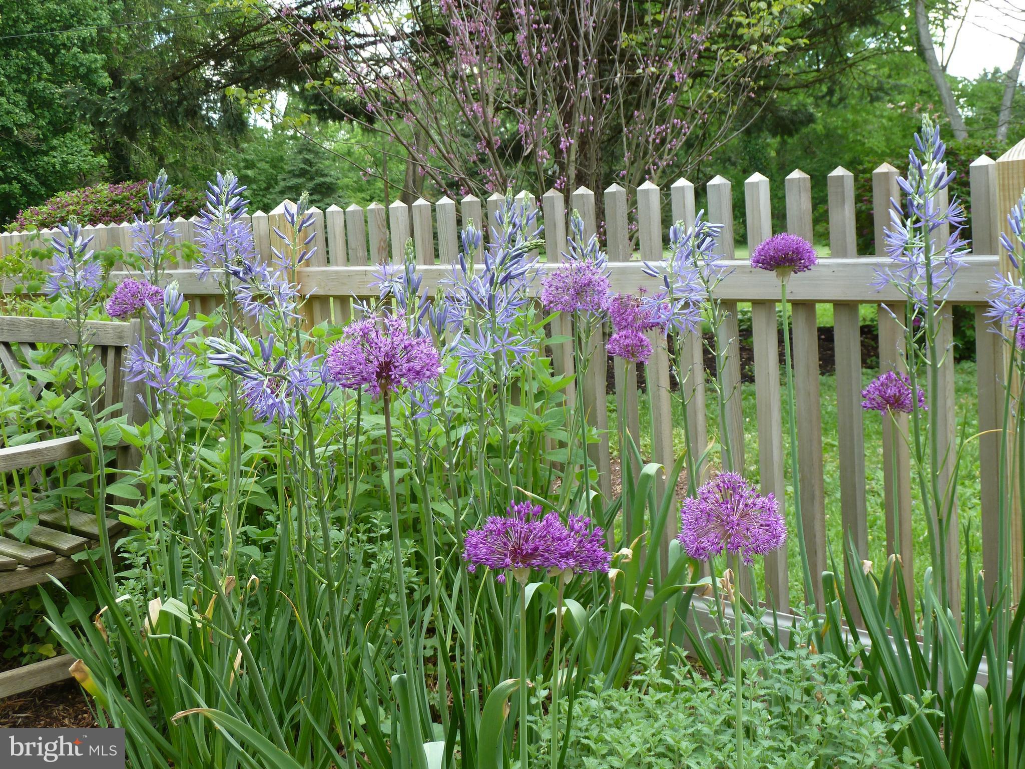 92 Homestead Drive Doylestown, PA 18901 - Photo 47 of 55