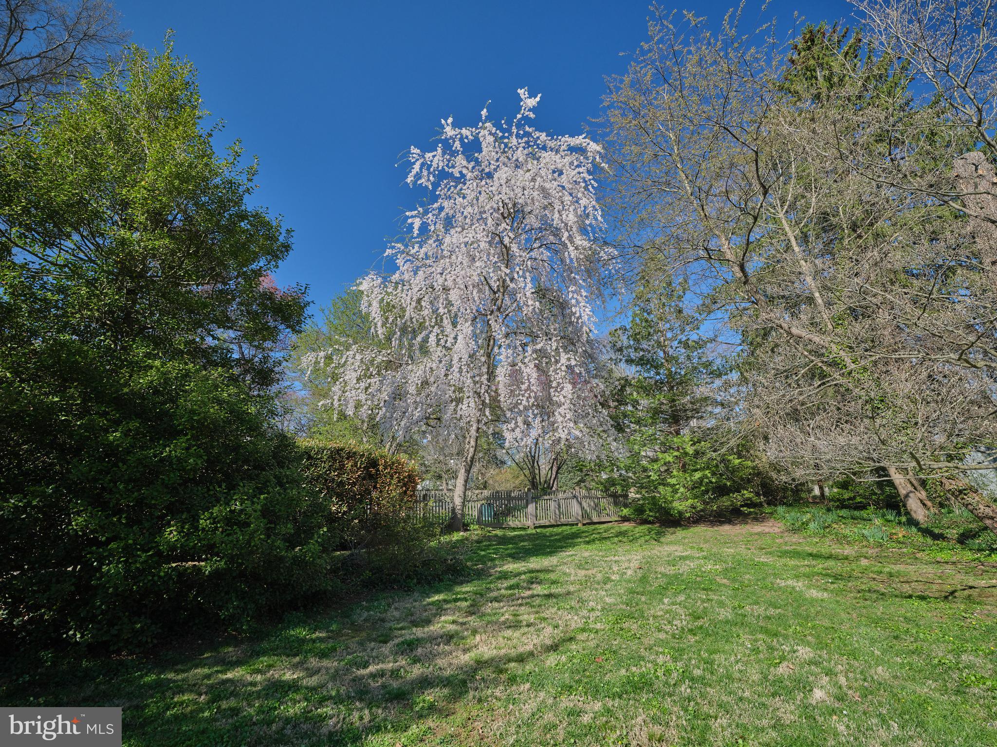 92 Homestead Drive Doylestown, PA 18901 - Photo 6 of 55