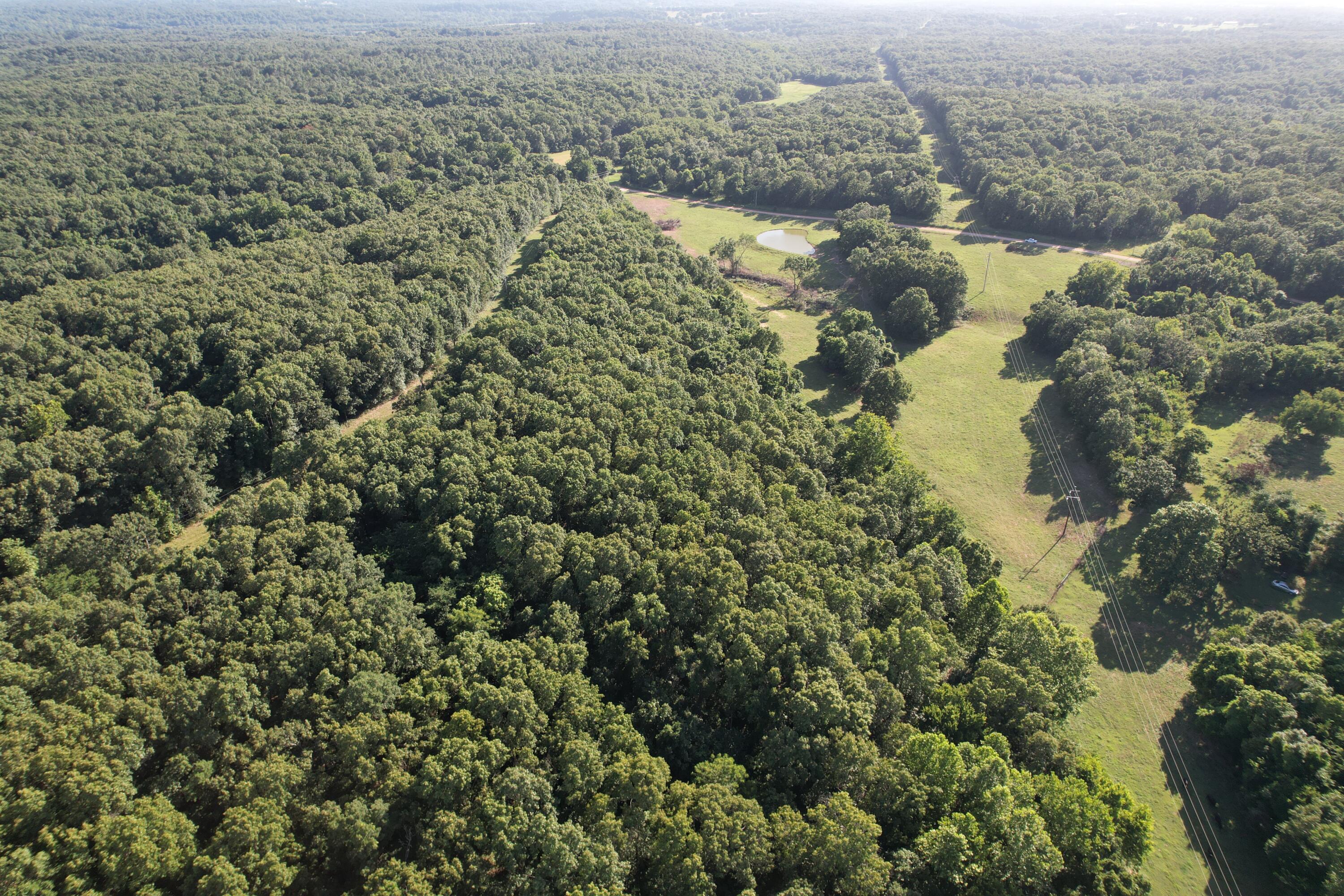 6731 Raccoon Road Pierce City, MO 65723 - Photo 21 of 99 DJI_0325