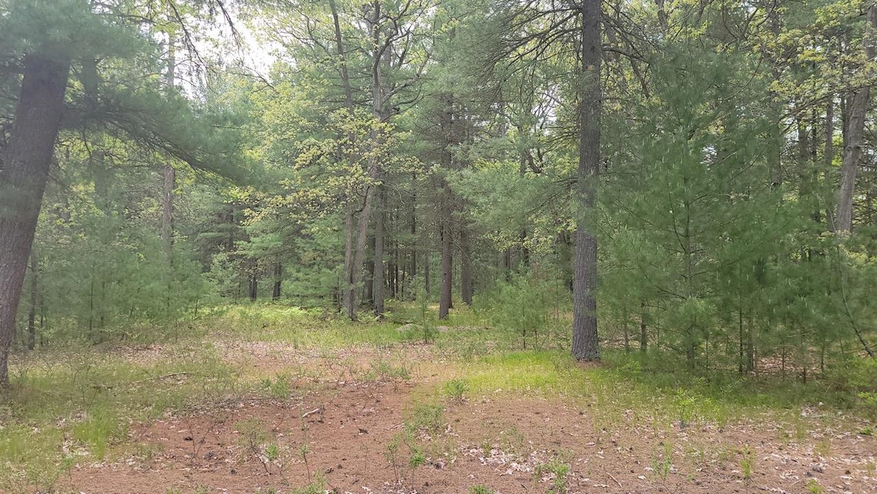 Xxx South Gladwin Road Prudenville, MI 48651 - Photo 6 of 10