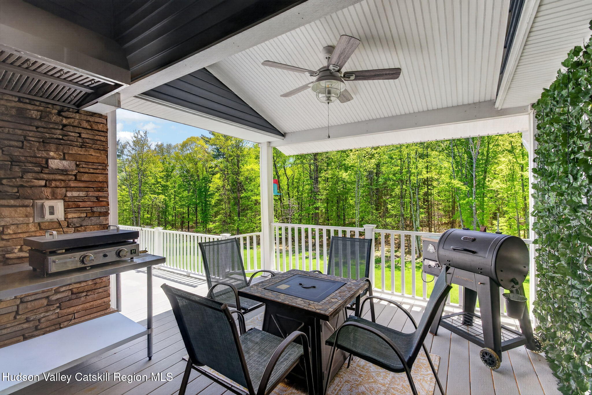322 Morrison Road Acra, NY 12405 - Photo 13 of 49 a view of a porch with furniture and a yard