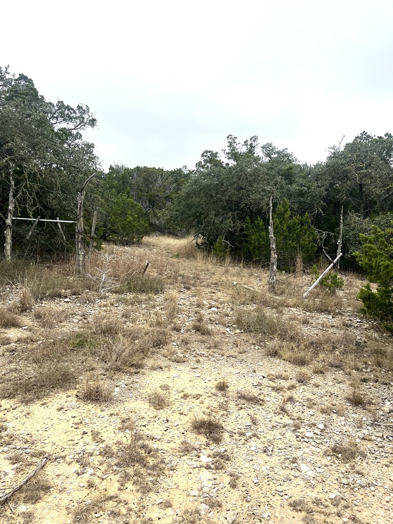 1029 Fairview Road Rocksprings, TX 78880 - Photo 10 of 44